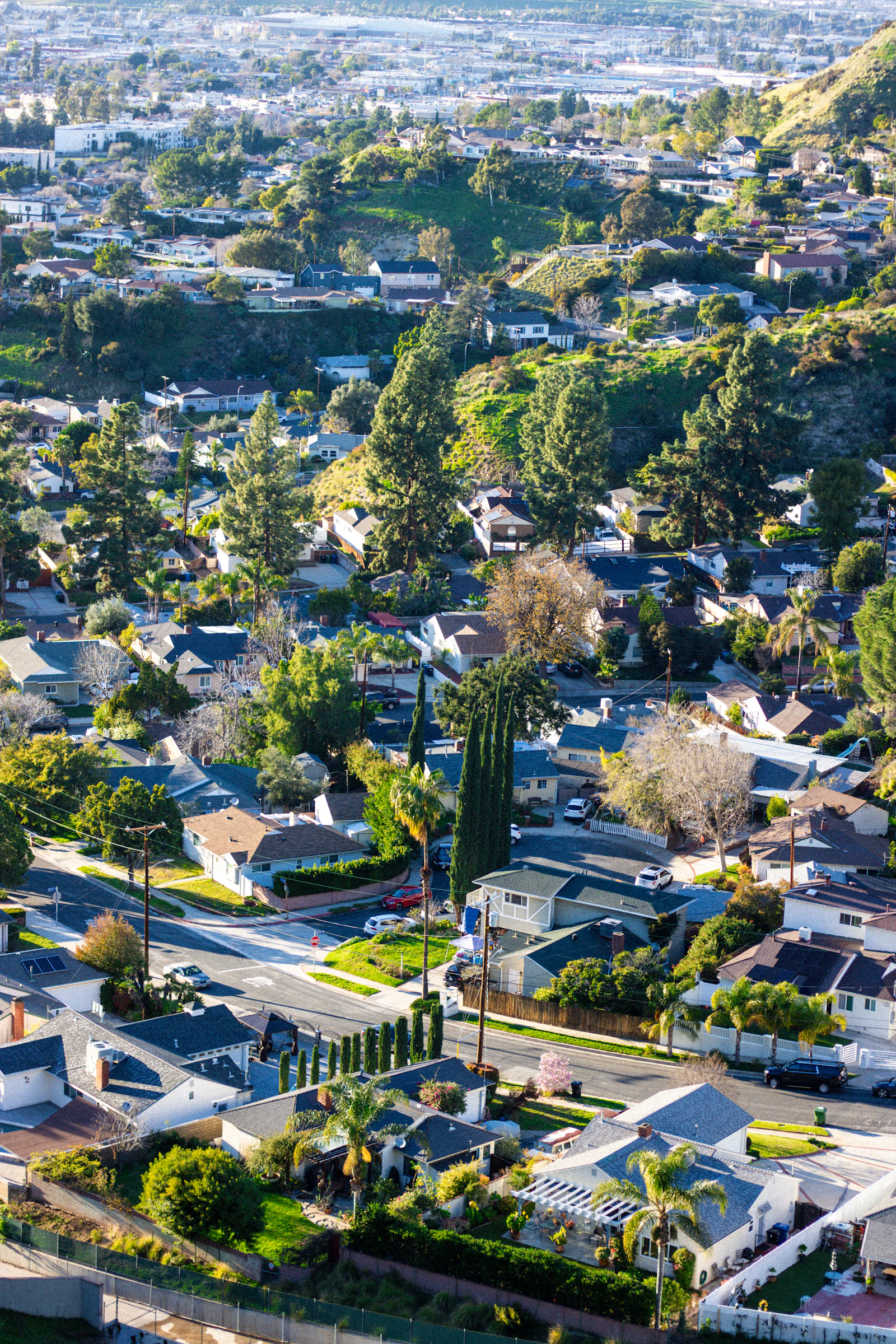 Hillside neighborhood of single-family homes among trees near Grass Valley CA