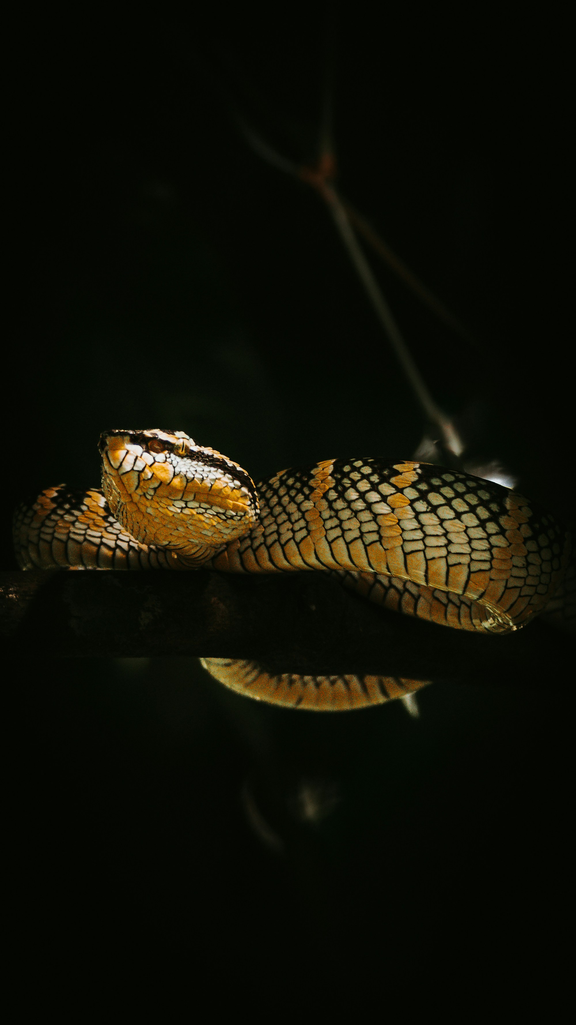 What to see in Sumatra: Travel Guide