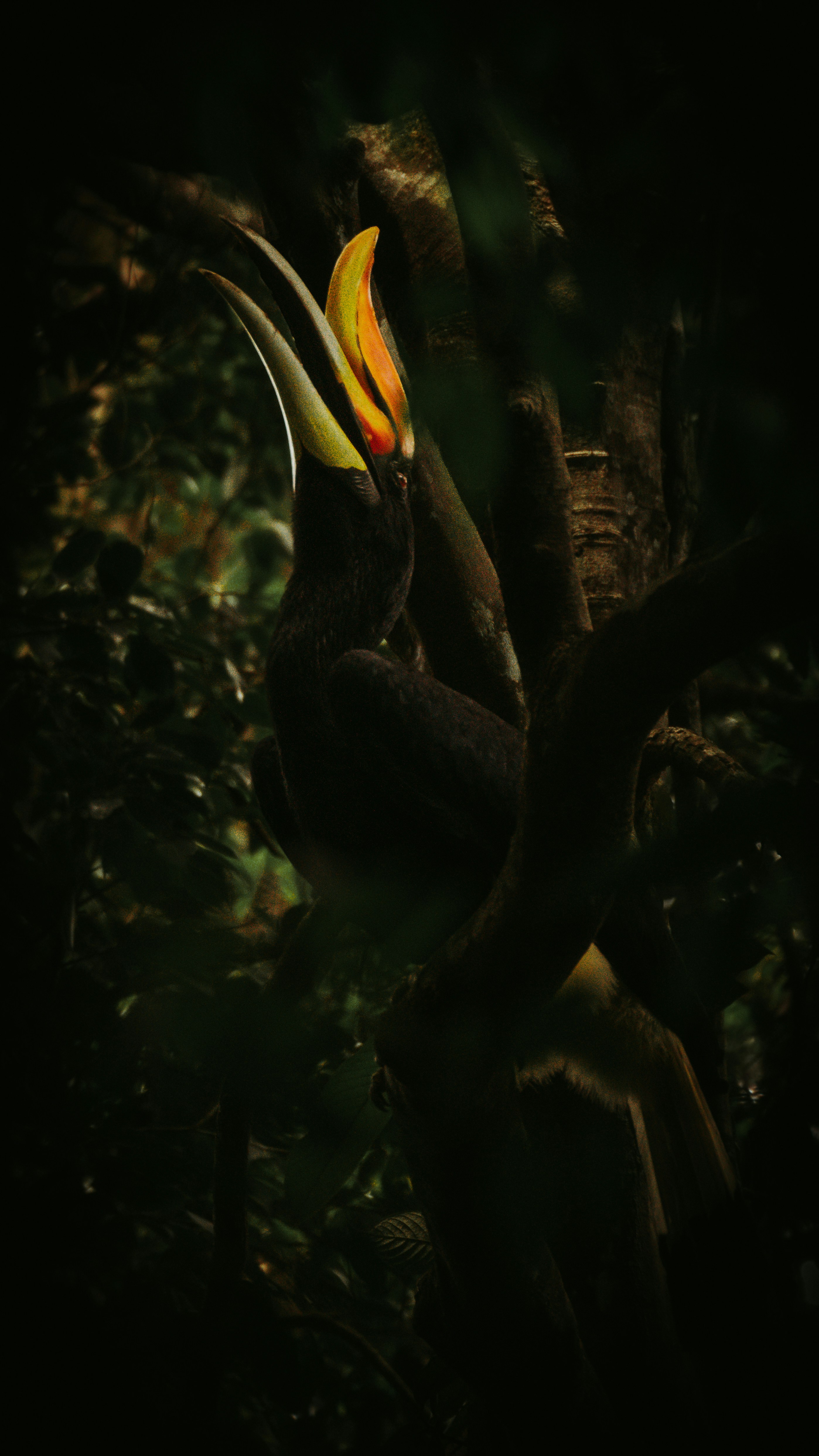 Getting Around: Navigation Strategies for Sumatra