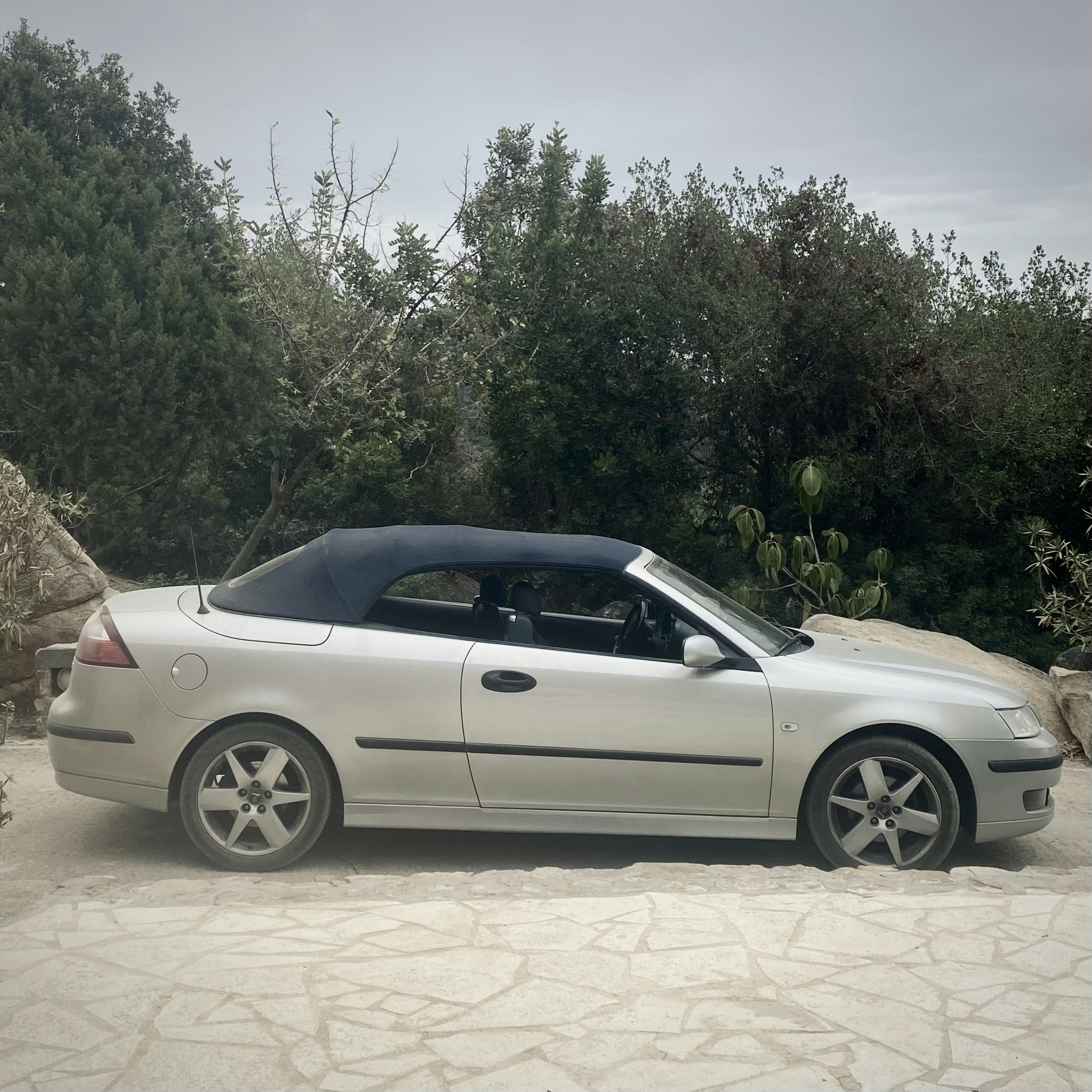 Un'auto bianca parcheggiata davanti ad alcuni alberi