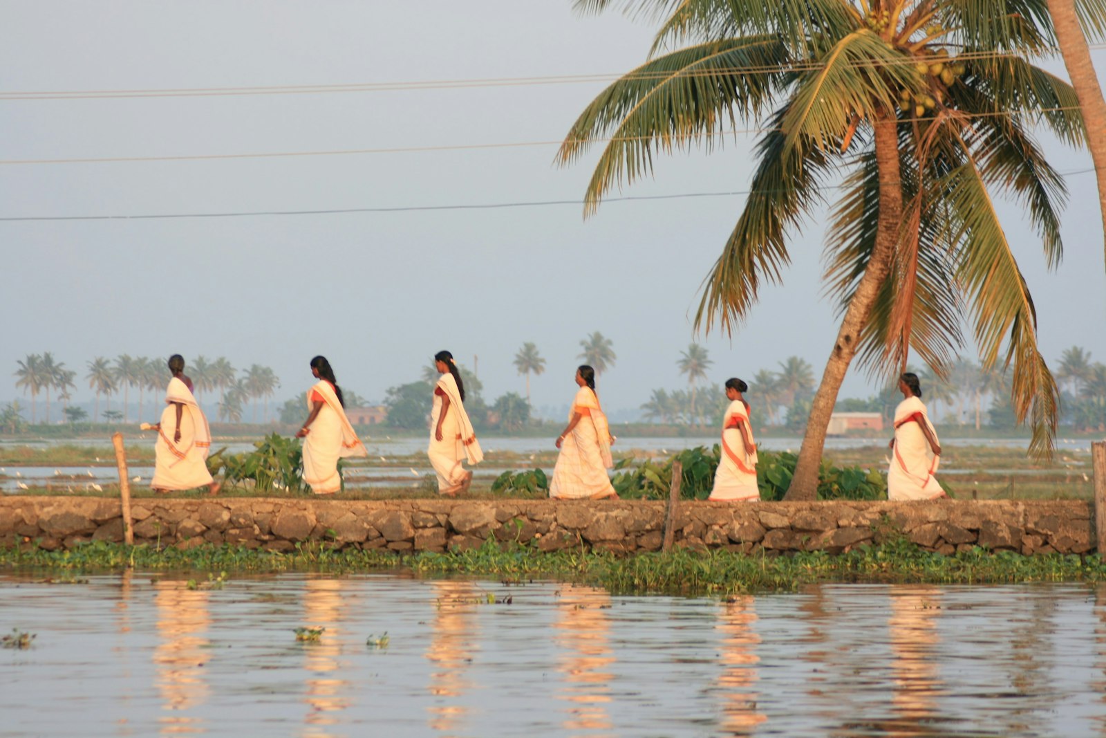 Wellness & Ayurveda