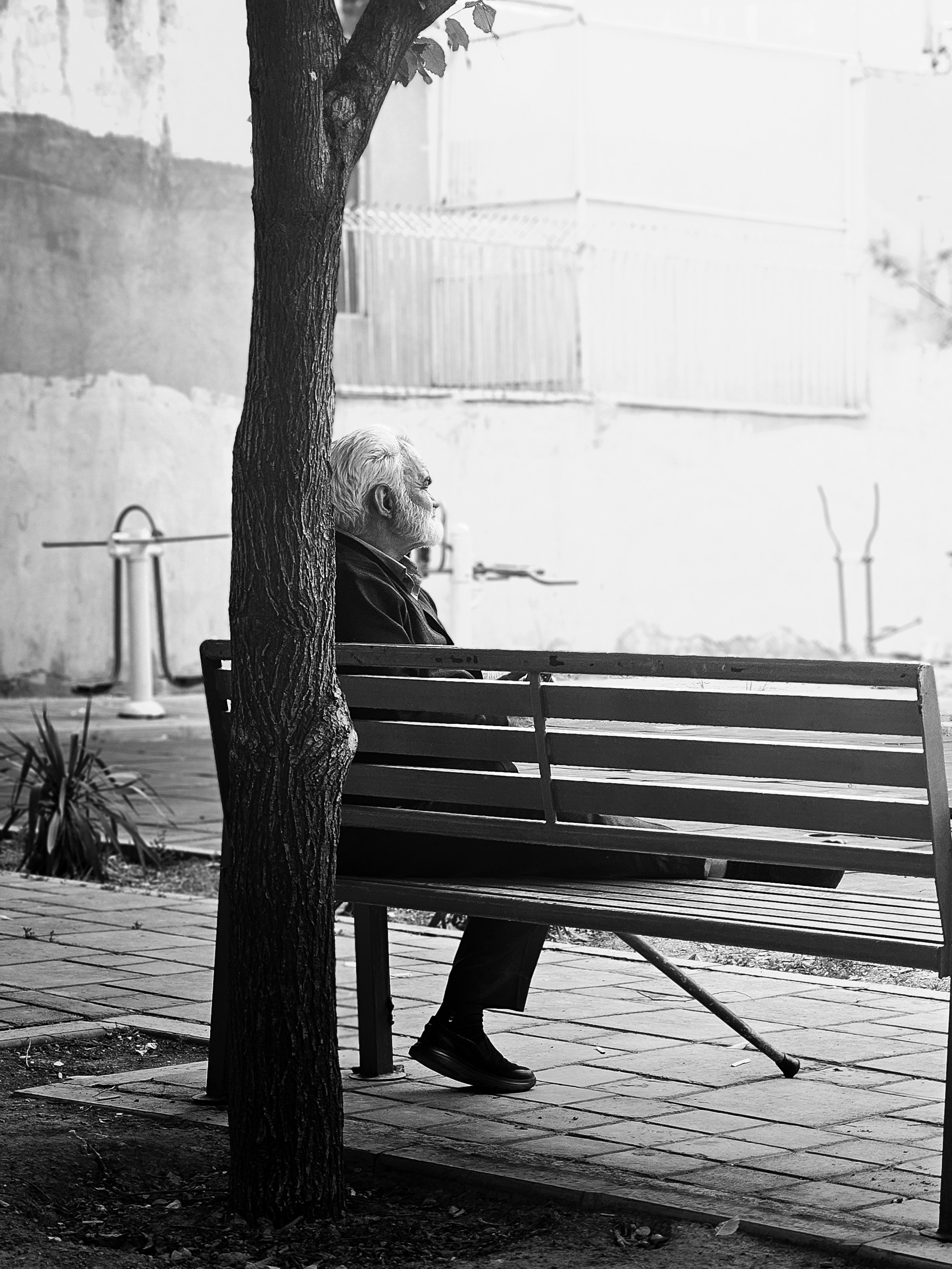 Senior sitting alone on a park bench