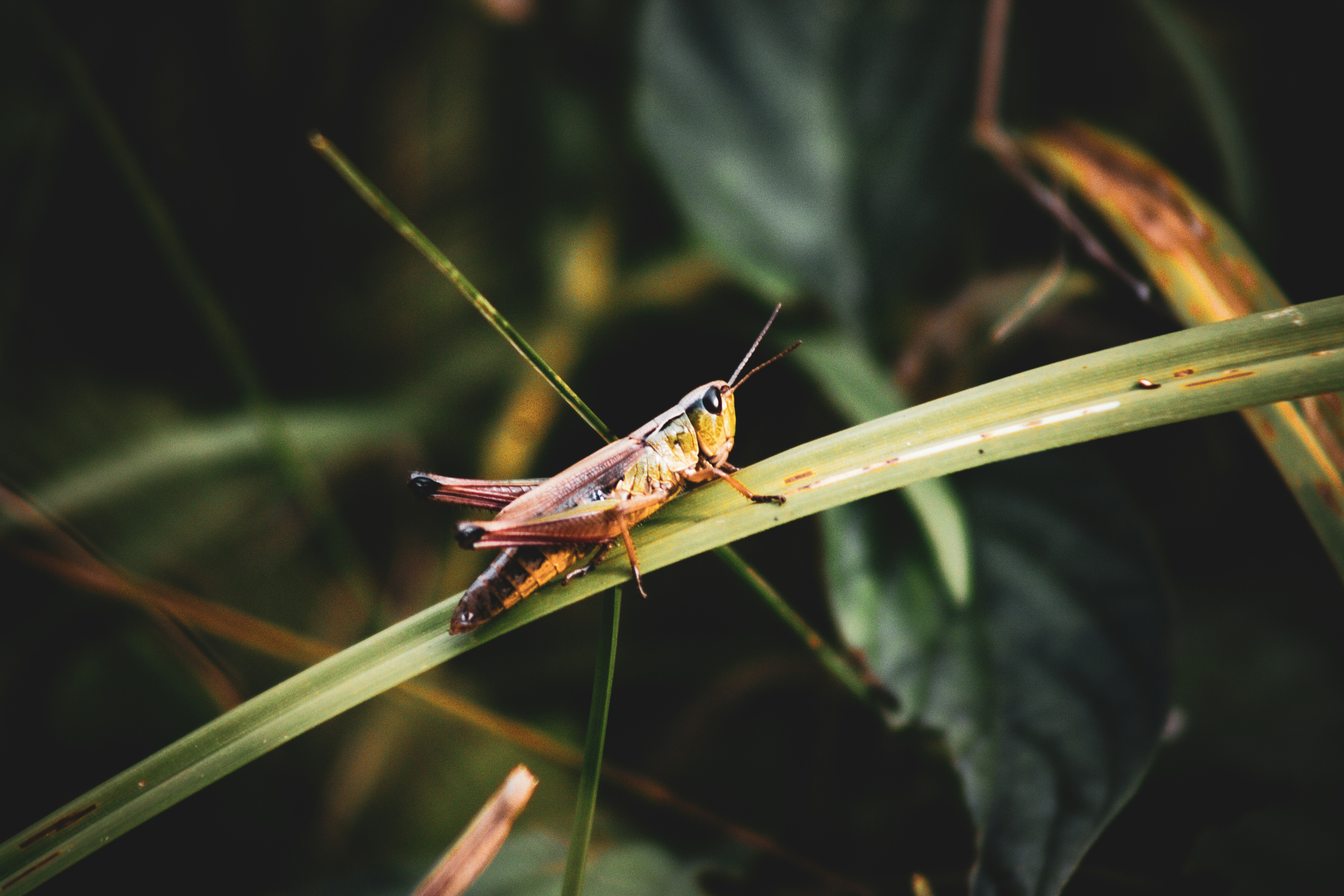 Photo by richiemortis