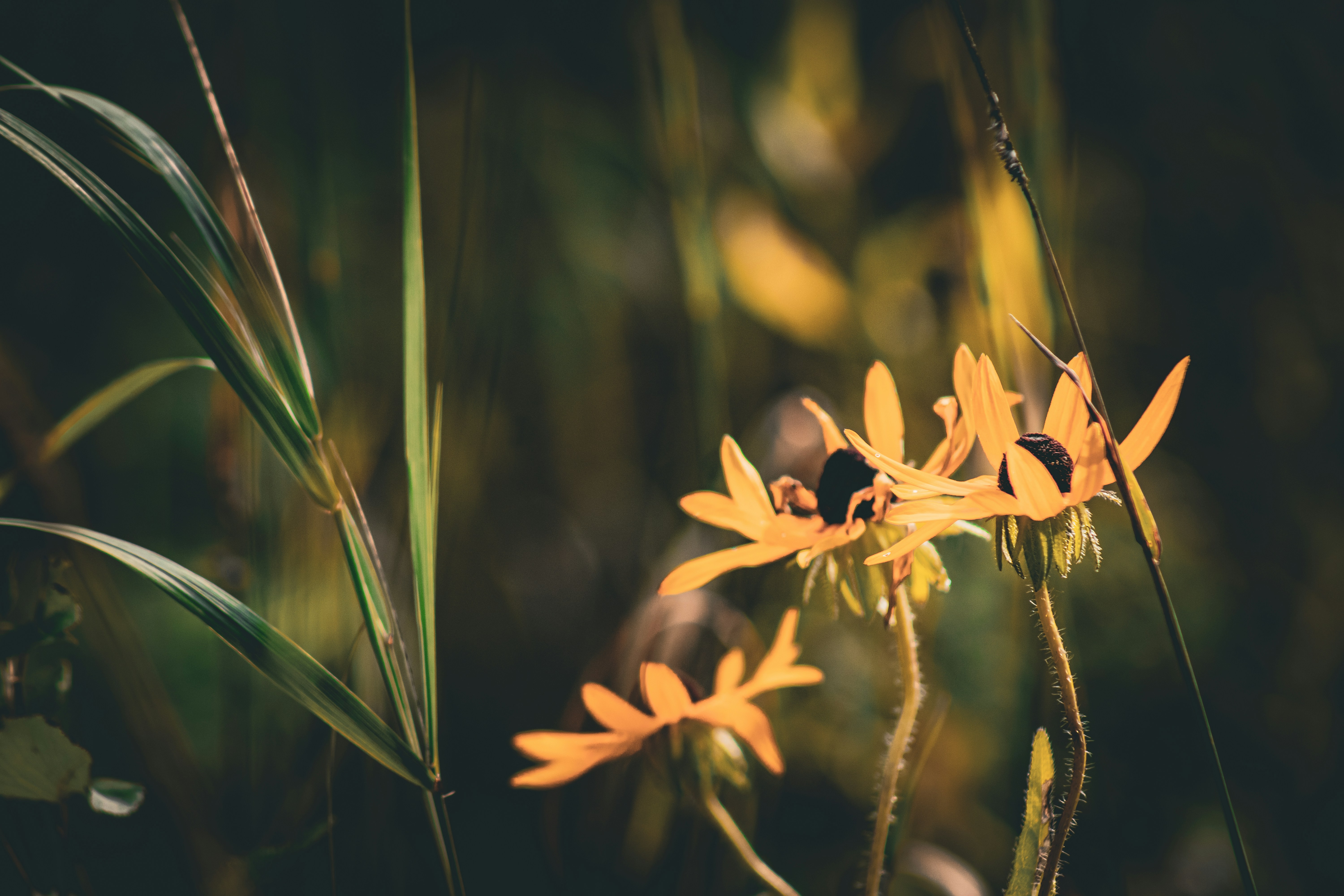 Photo by richiemortis