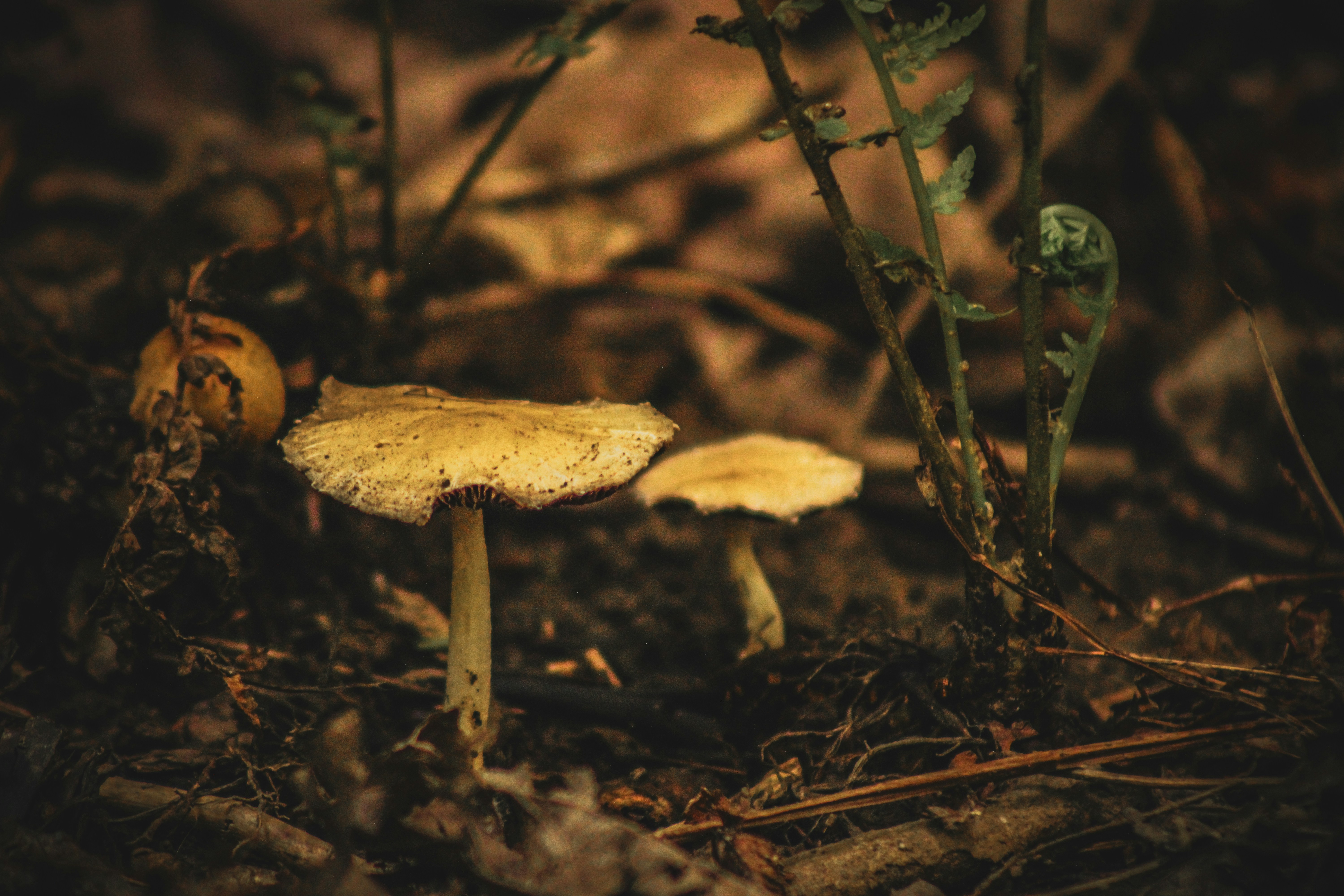 Photo by richiemortis