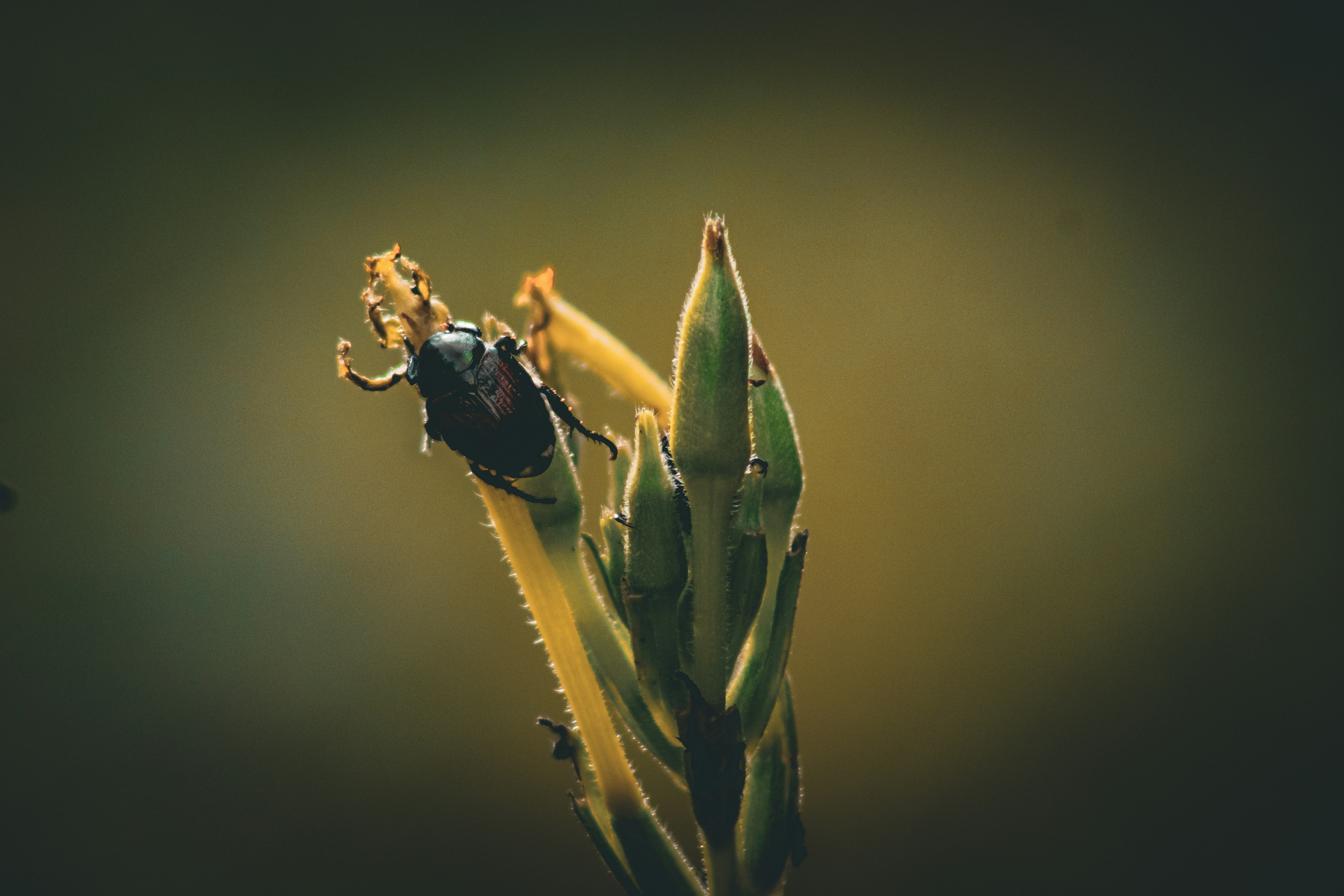 Photo by richiemortis