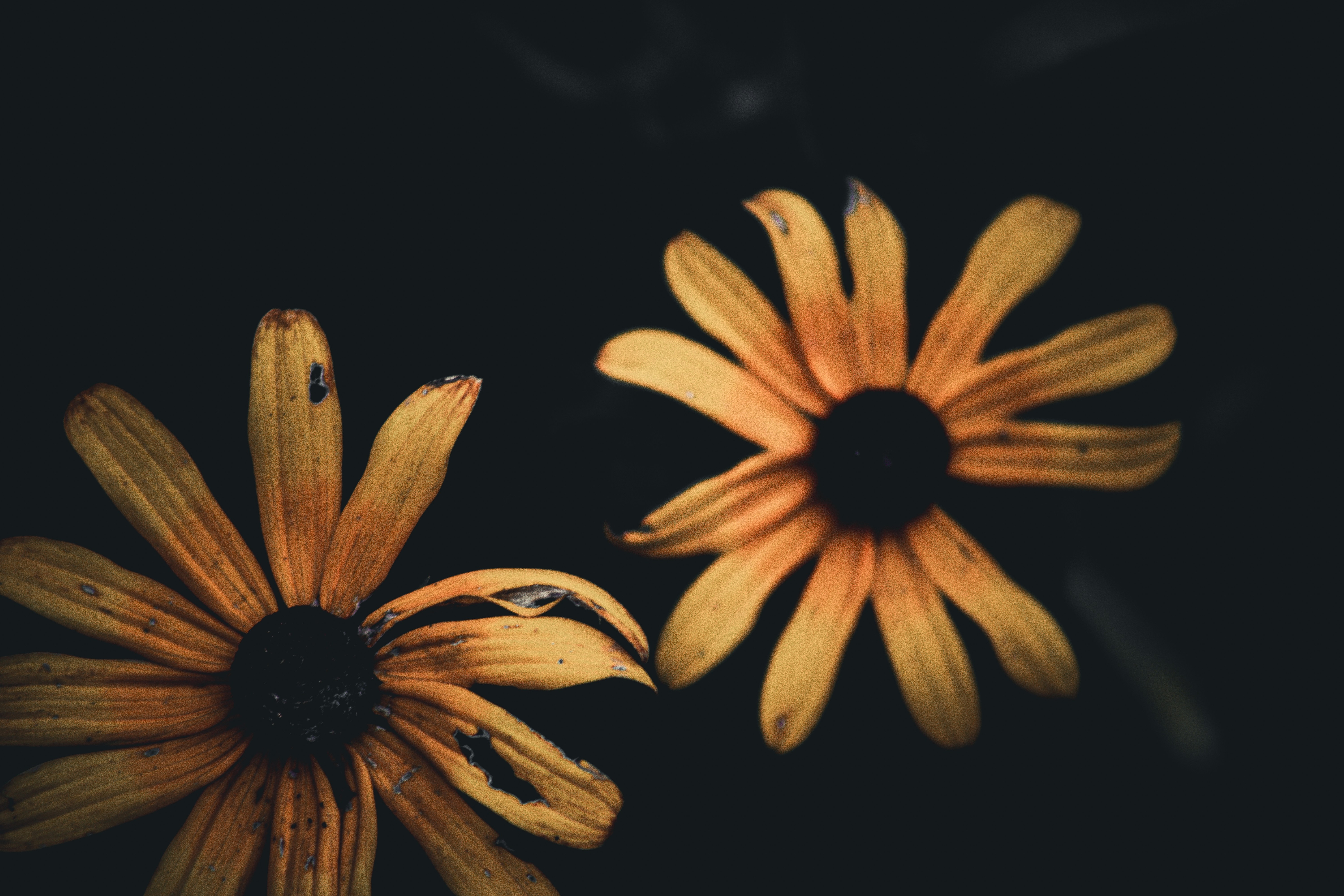 Photo by richiemortis