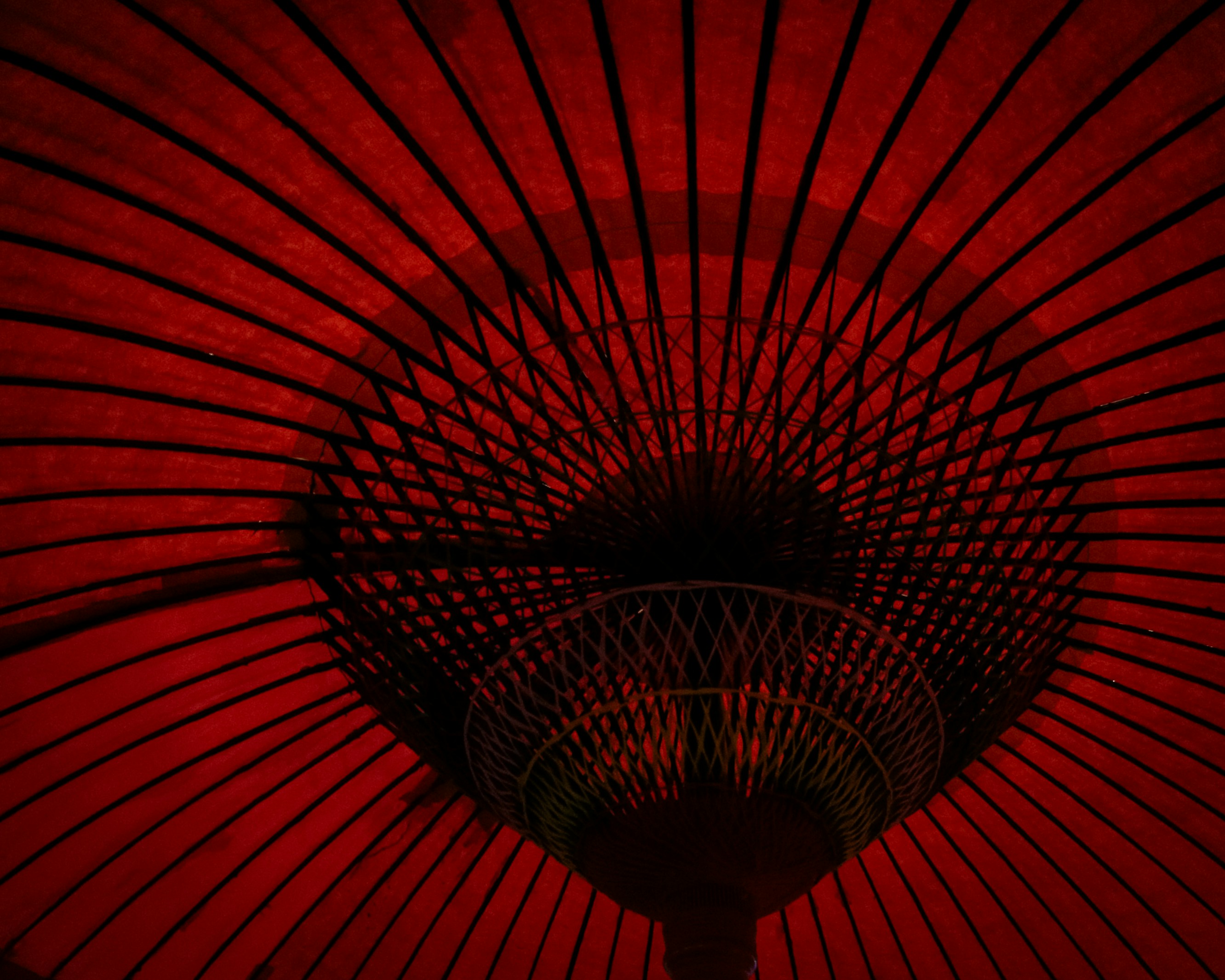 Photo by lucasdalamartaphoto