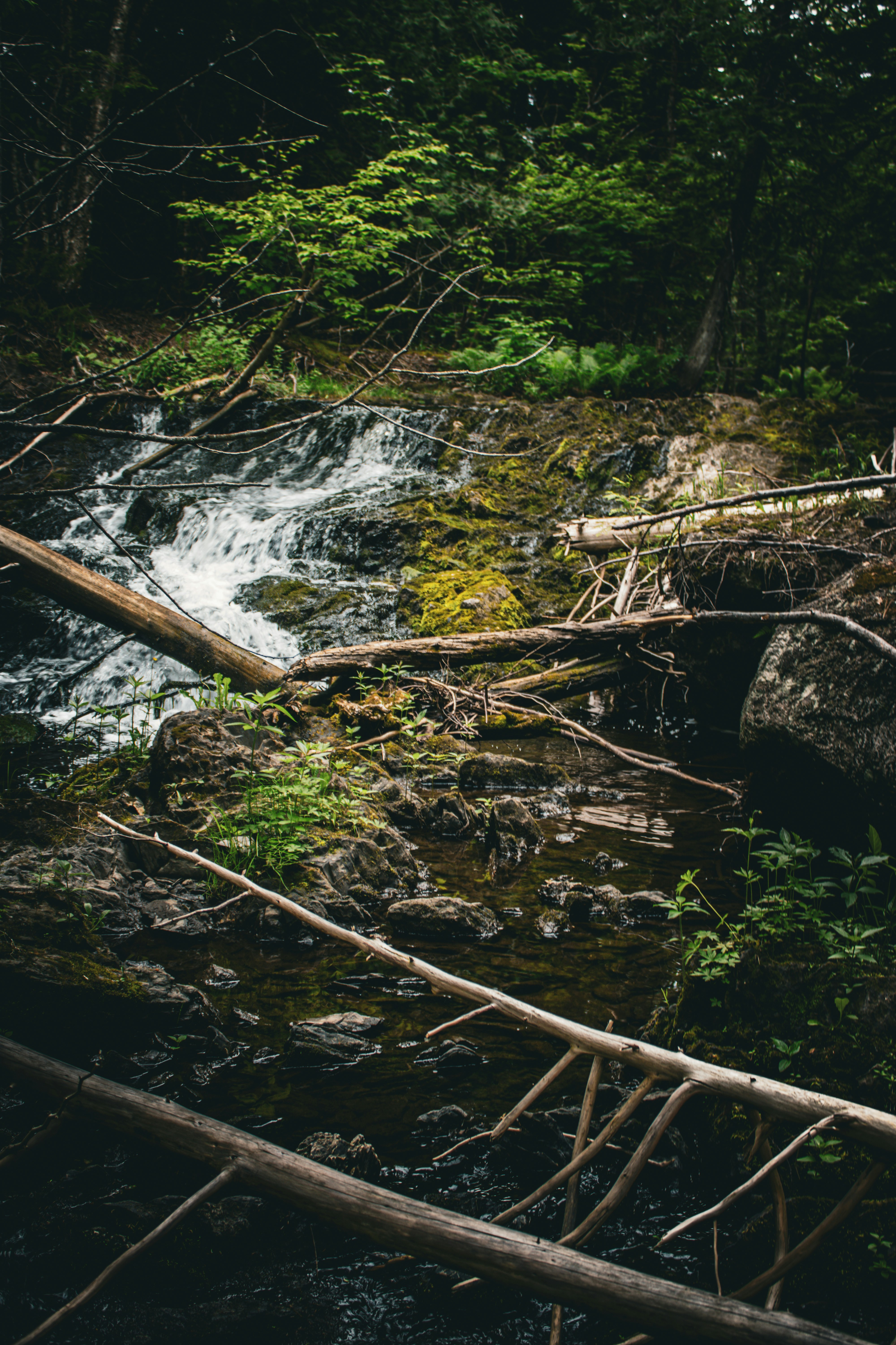 Photo by richiemortis