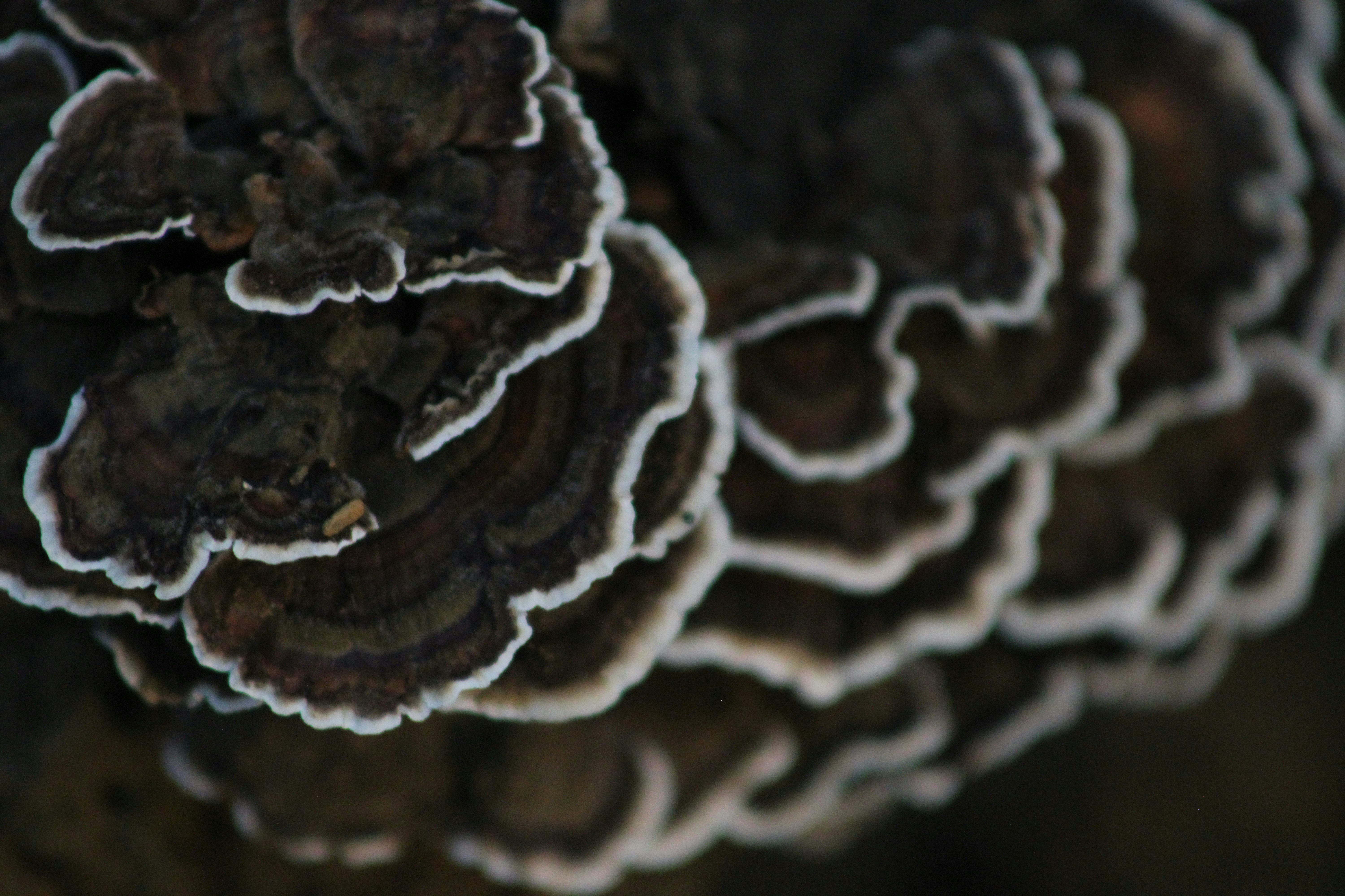 Photo by richiemortis