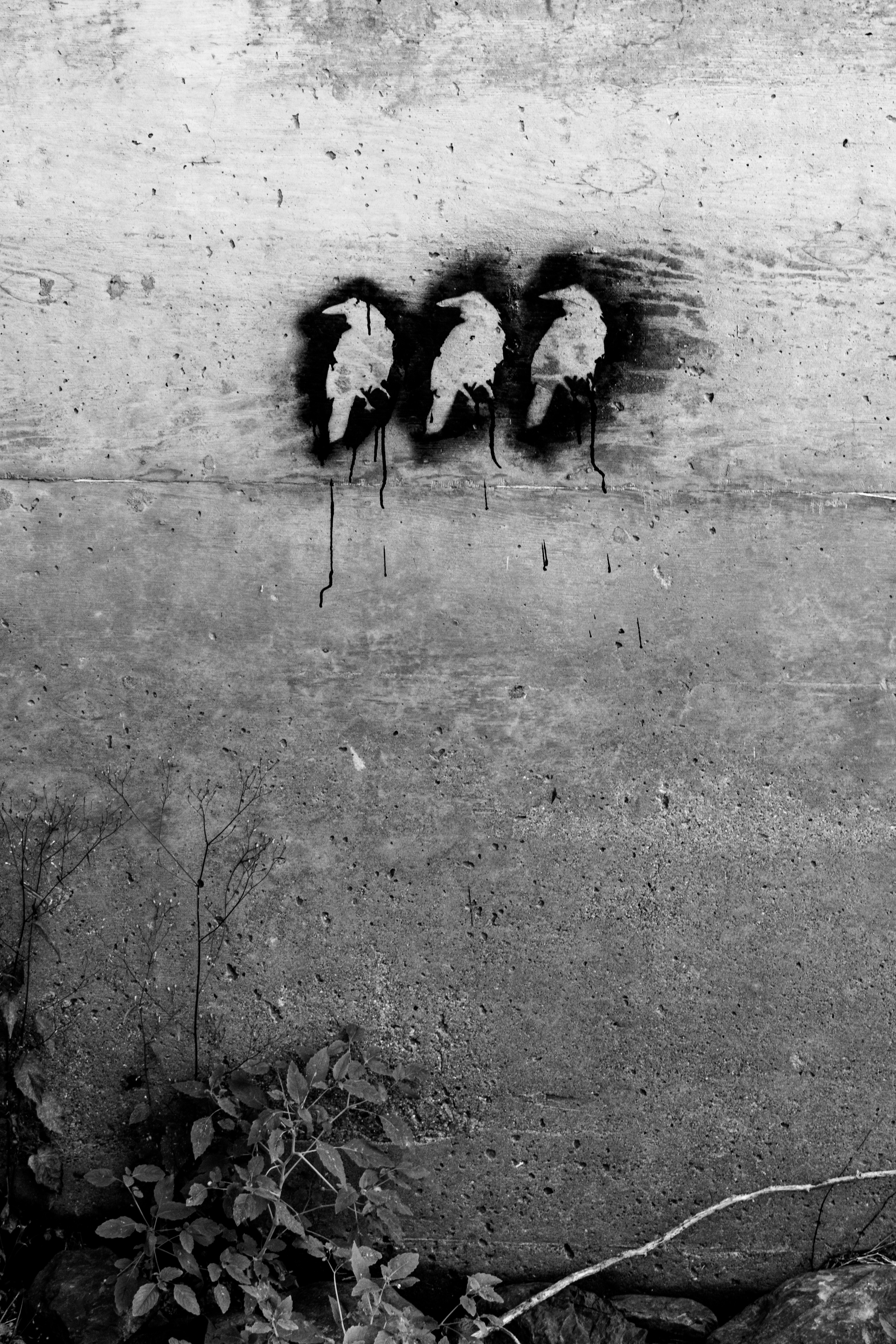 Photo by richiemortis