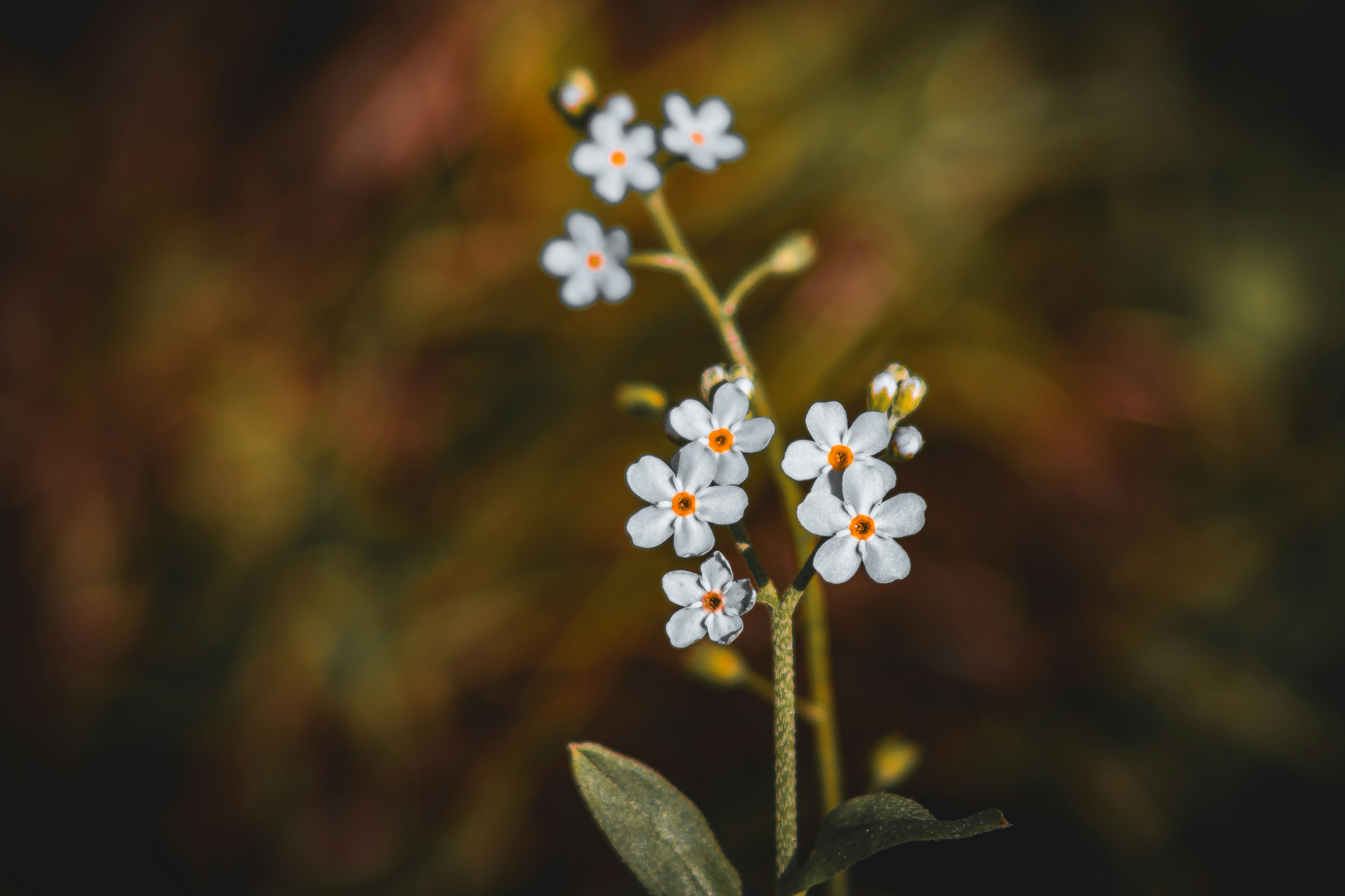 Photo by richiemortis