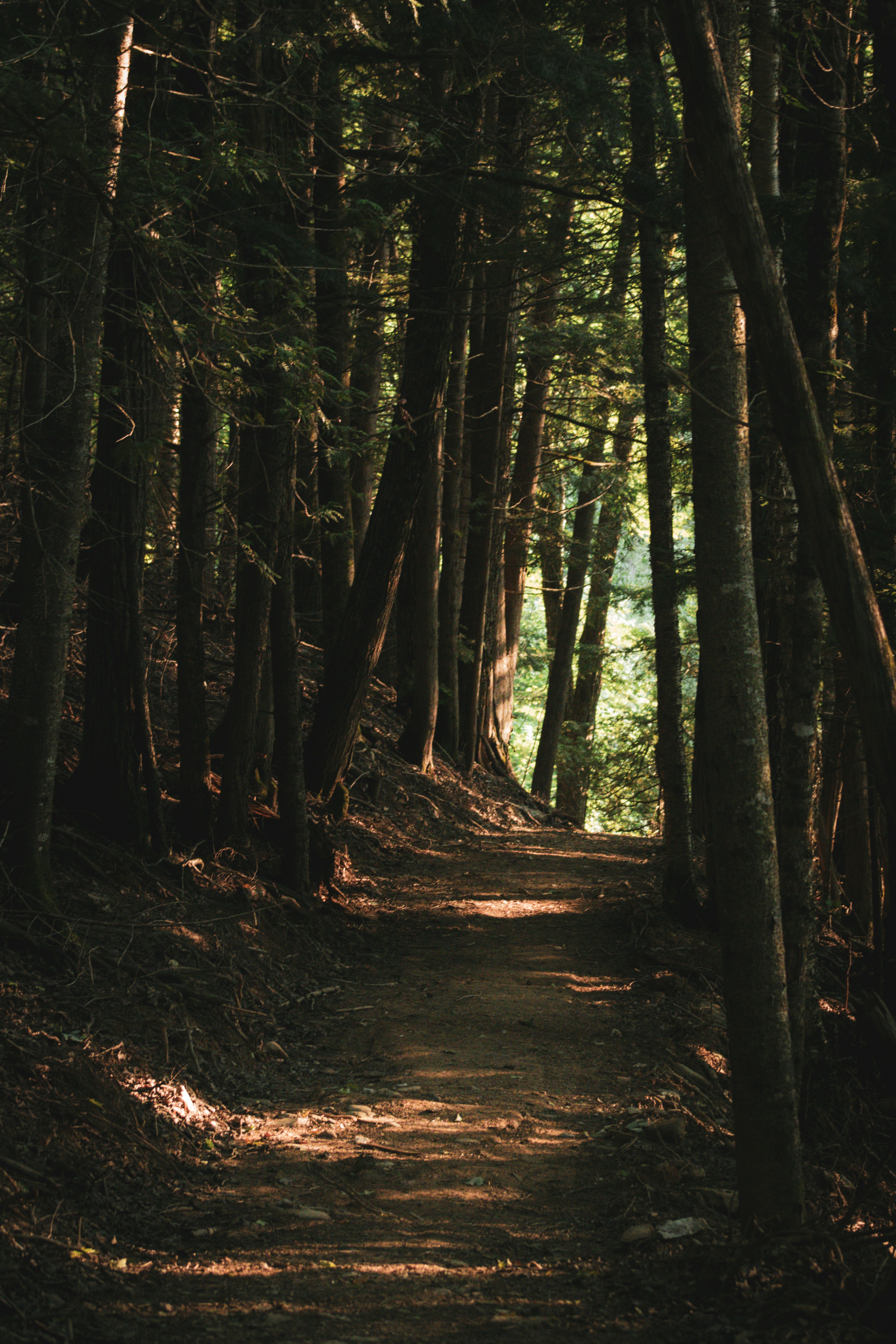 The Man from Brooklyn (Part 1)