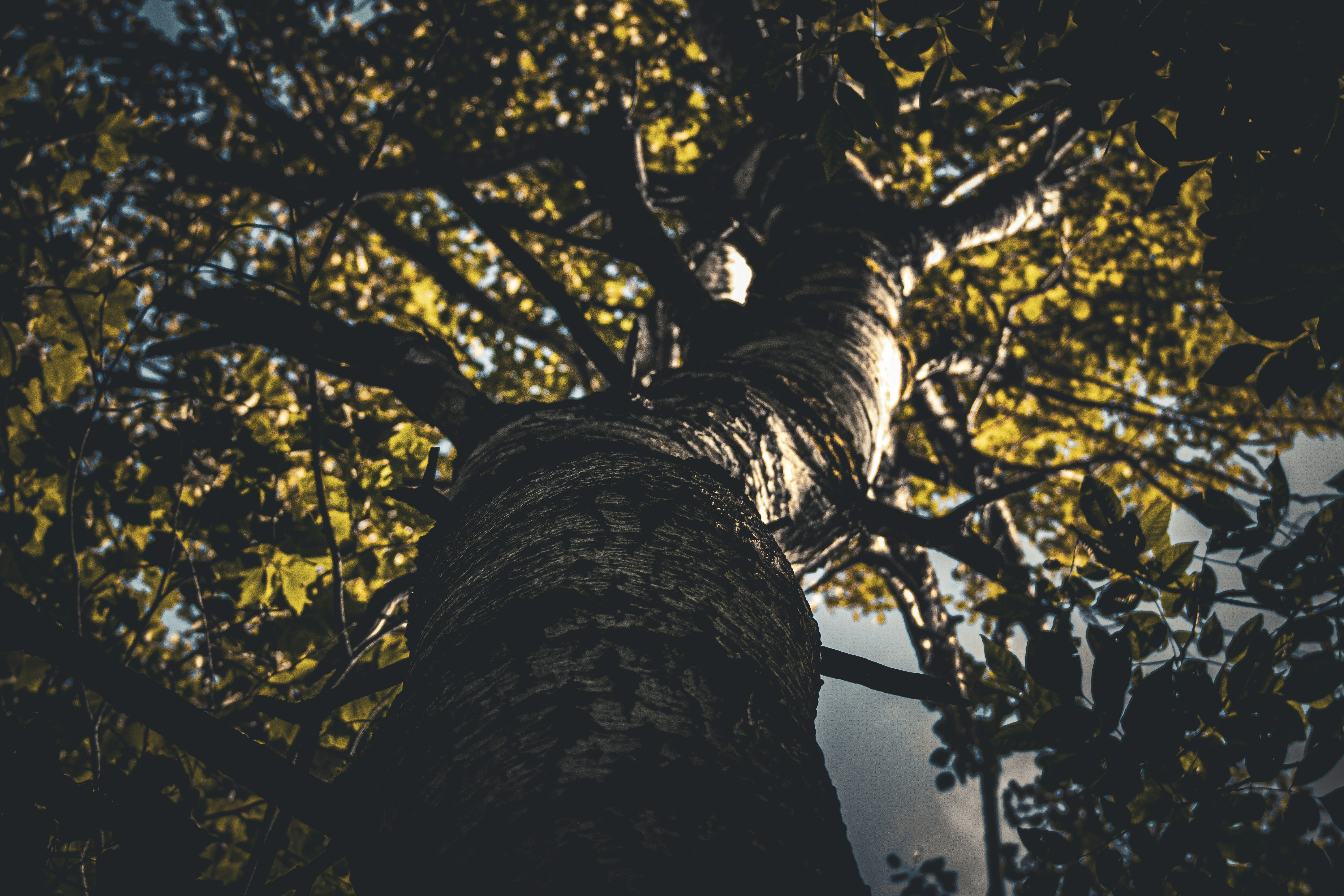 Photo by richiemortis