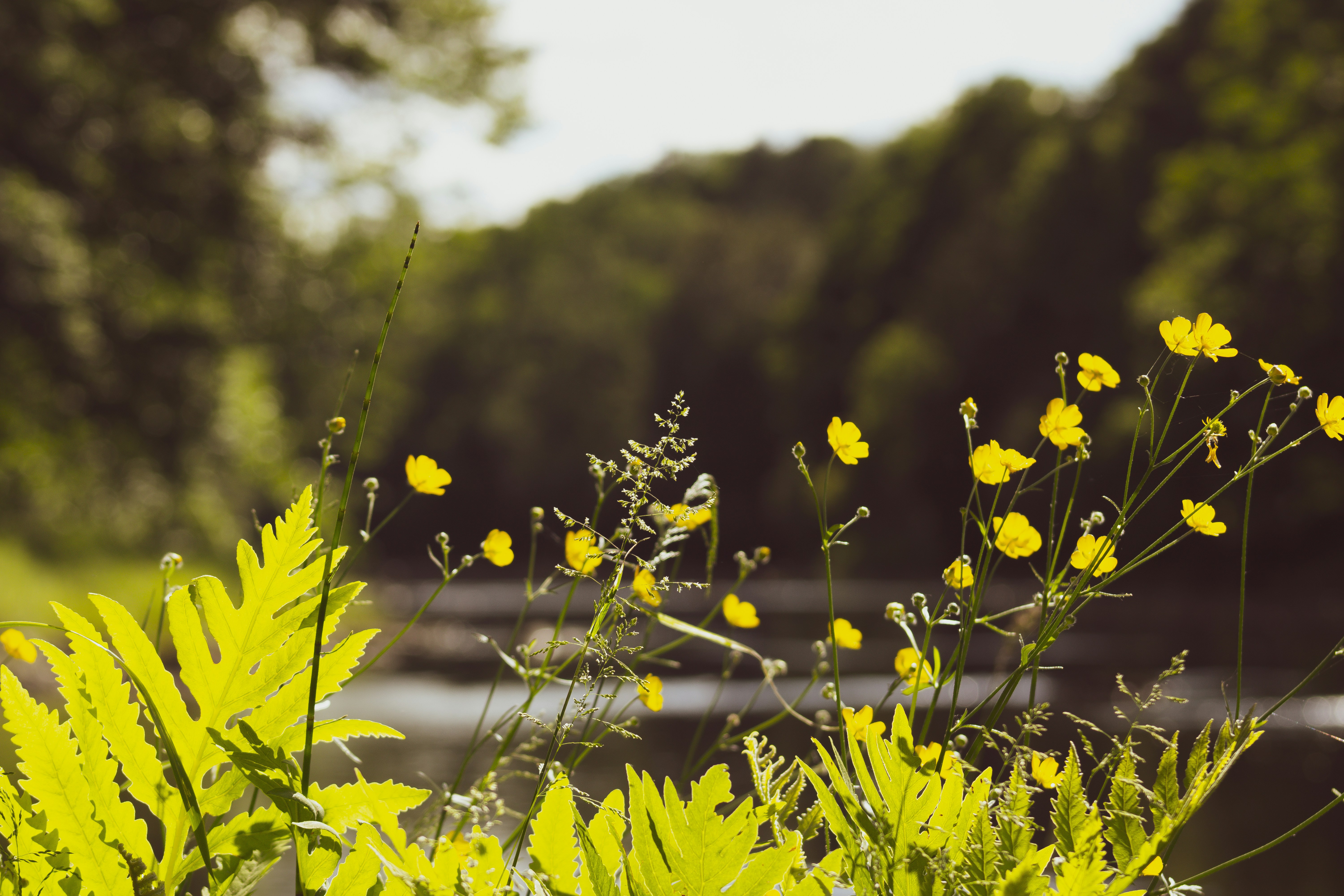 Photo by richiemortis