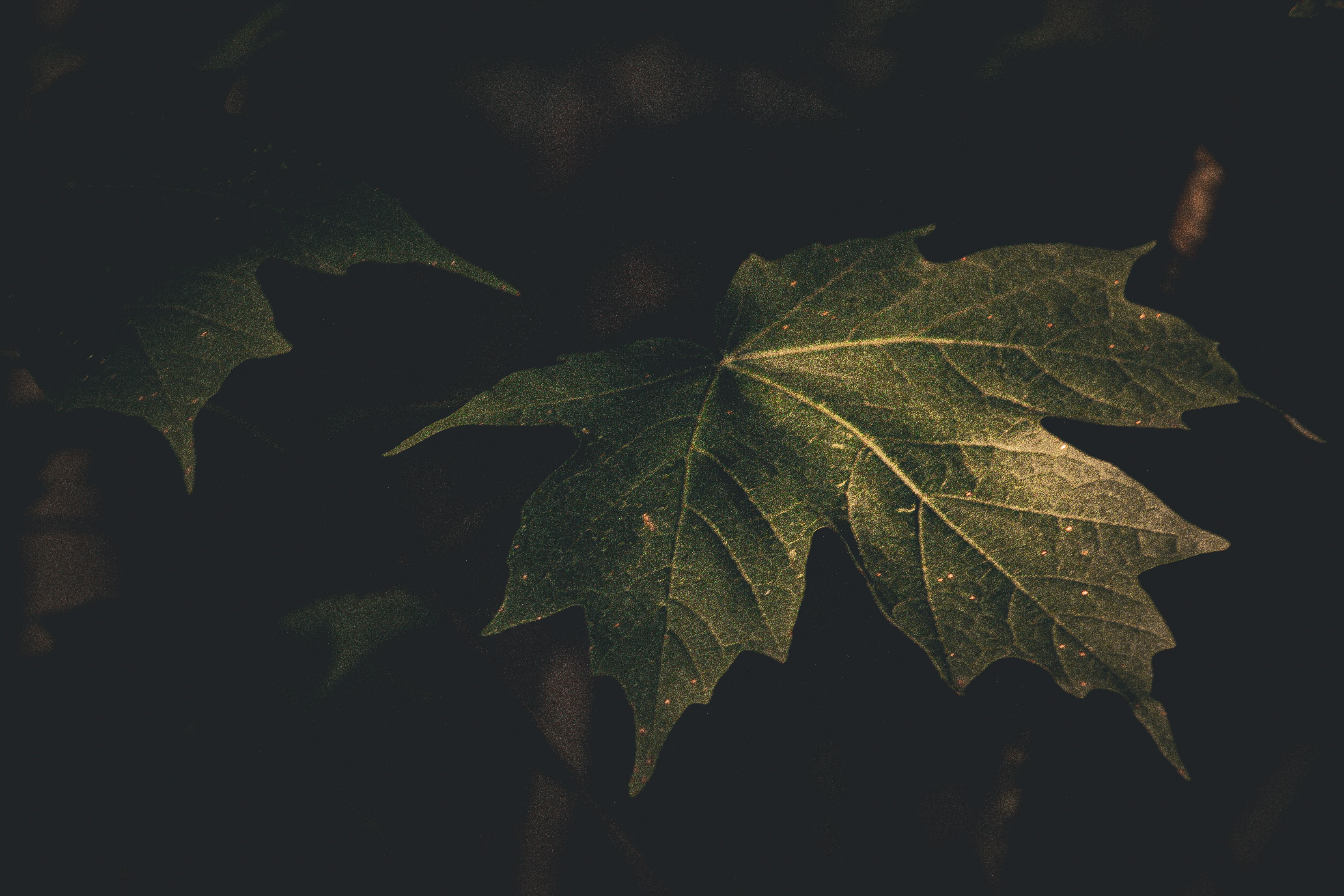 Photo by richiemortis