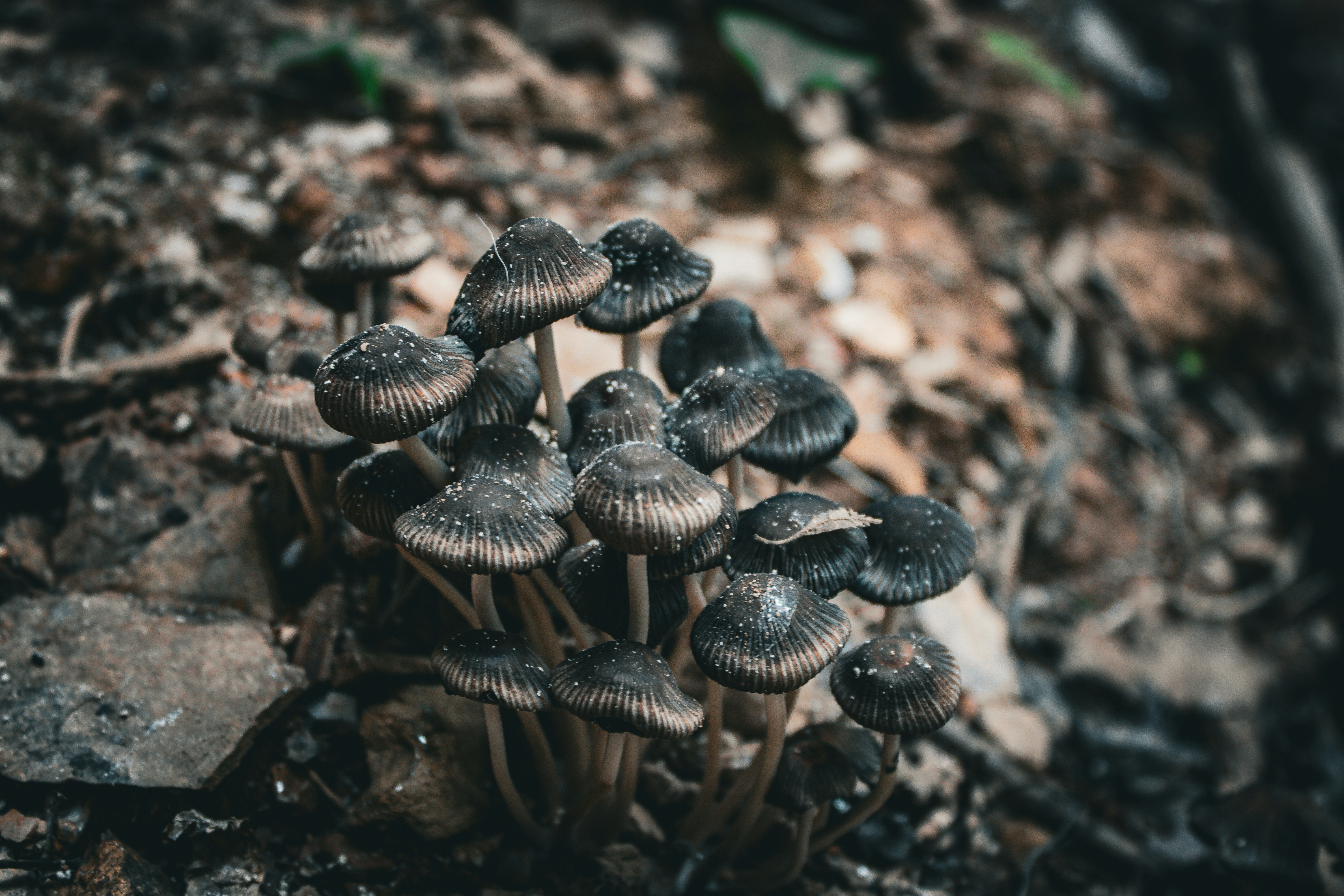 Photo by richiemortis