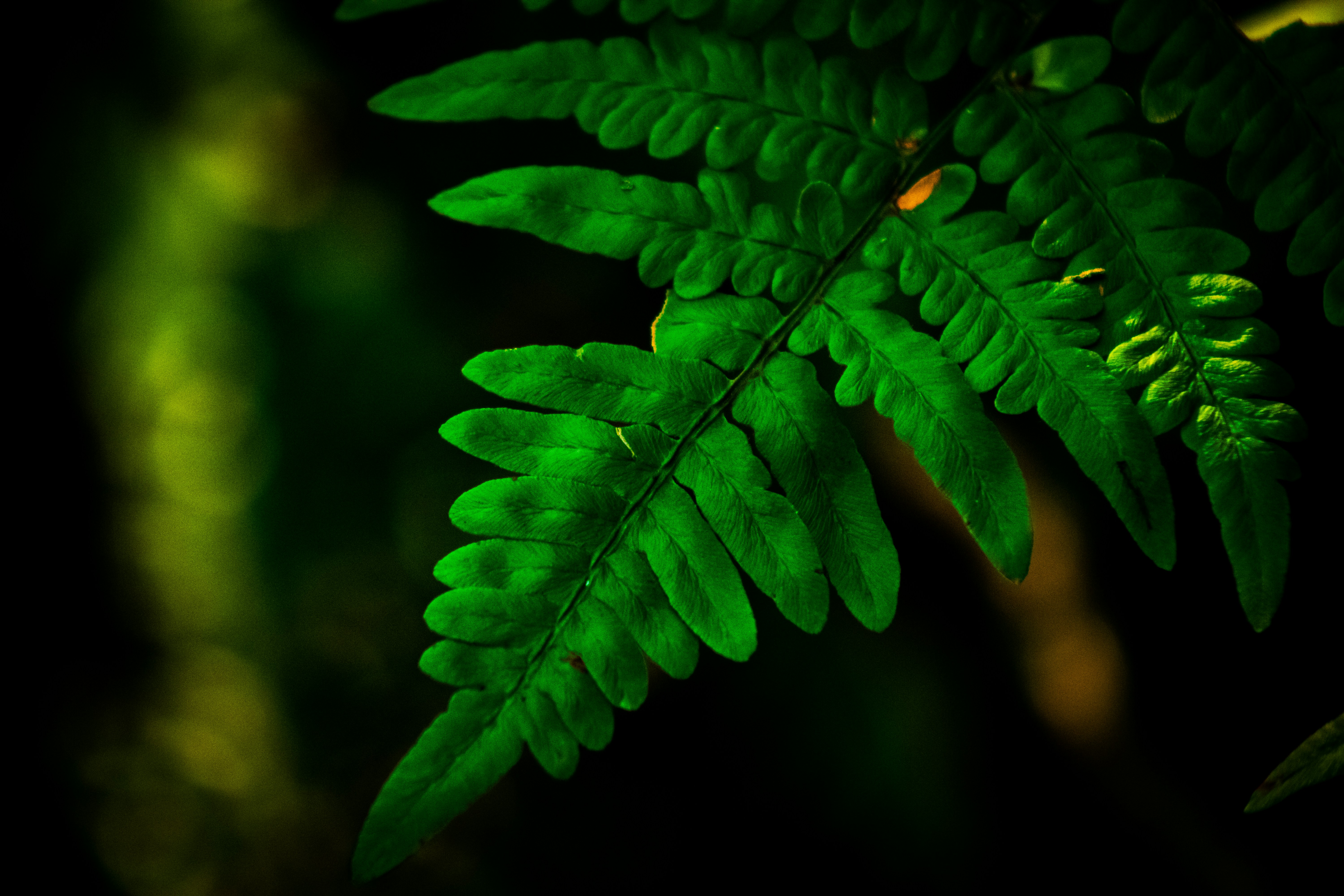 Photo by richiemortis