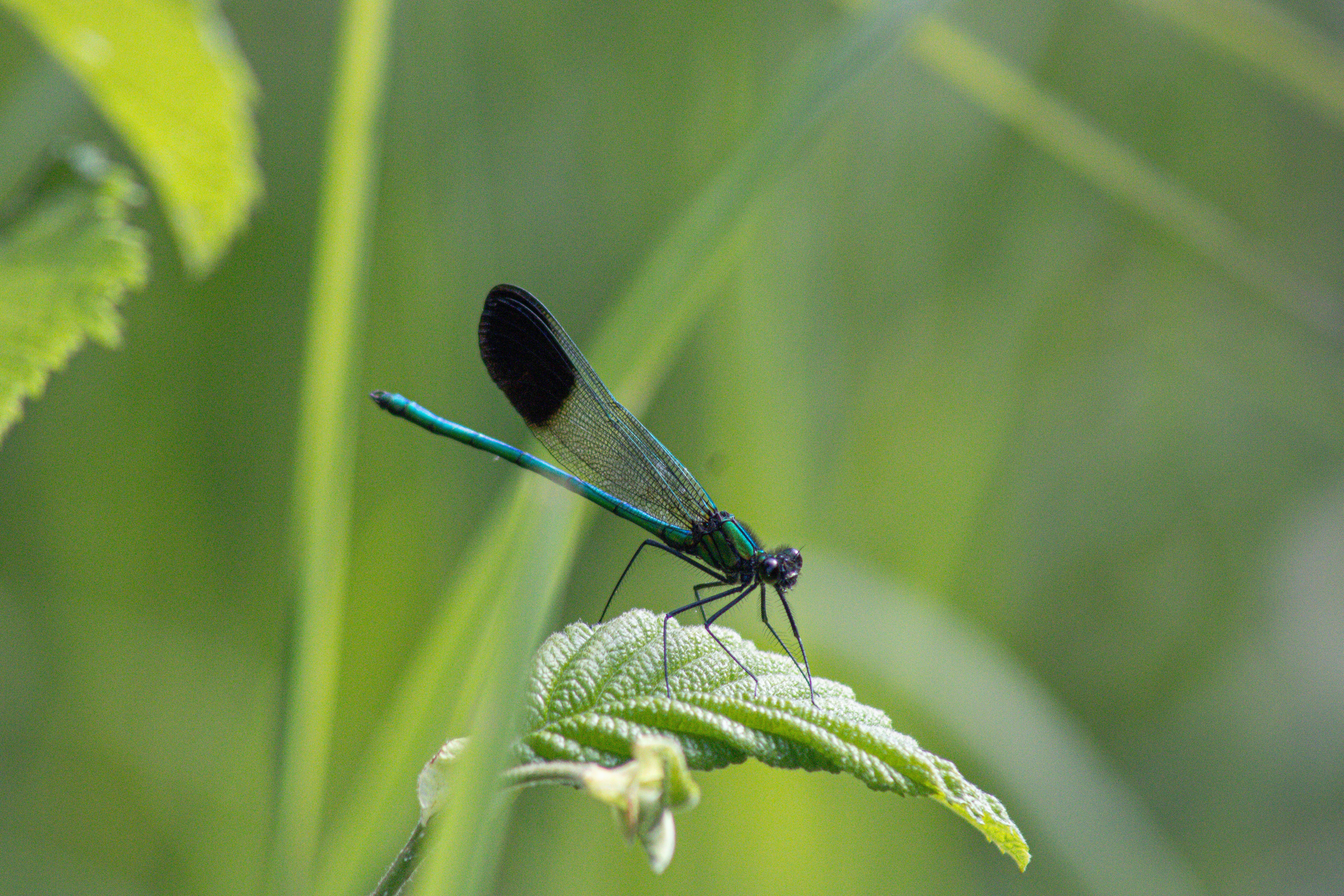 Photo by richiemortis