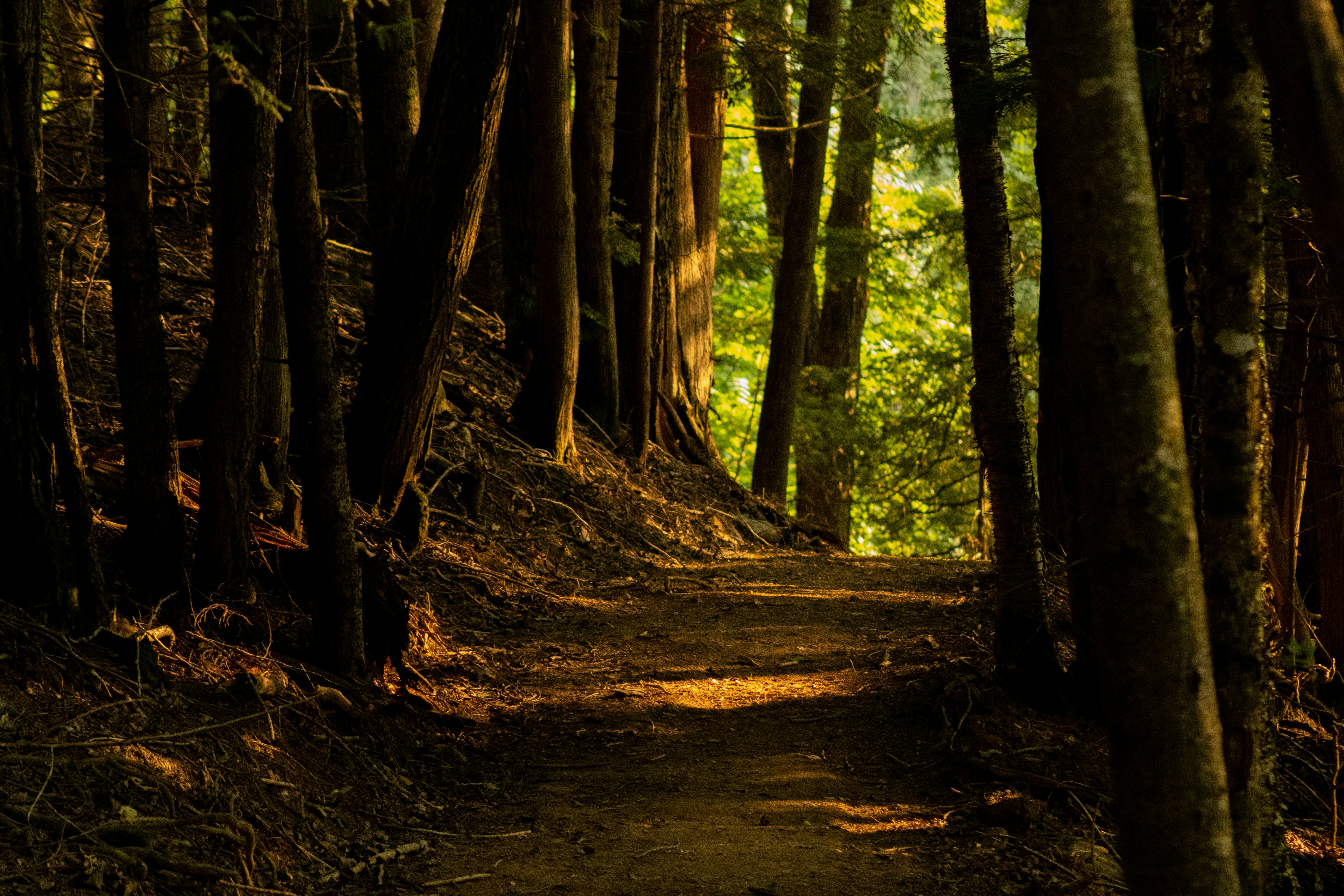 Photo by richiemortis