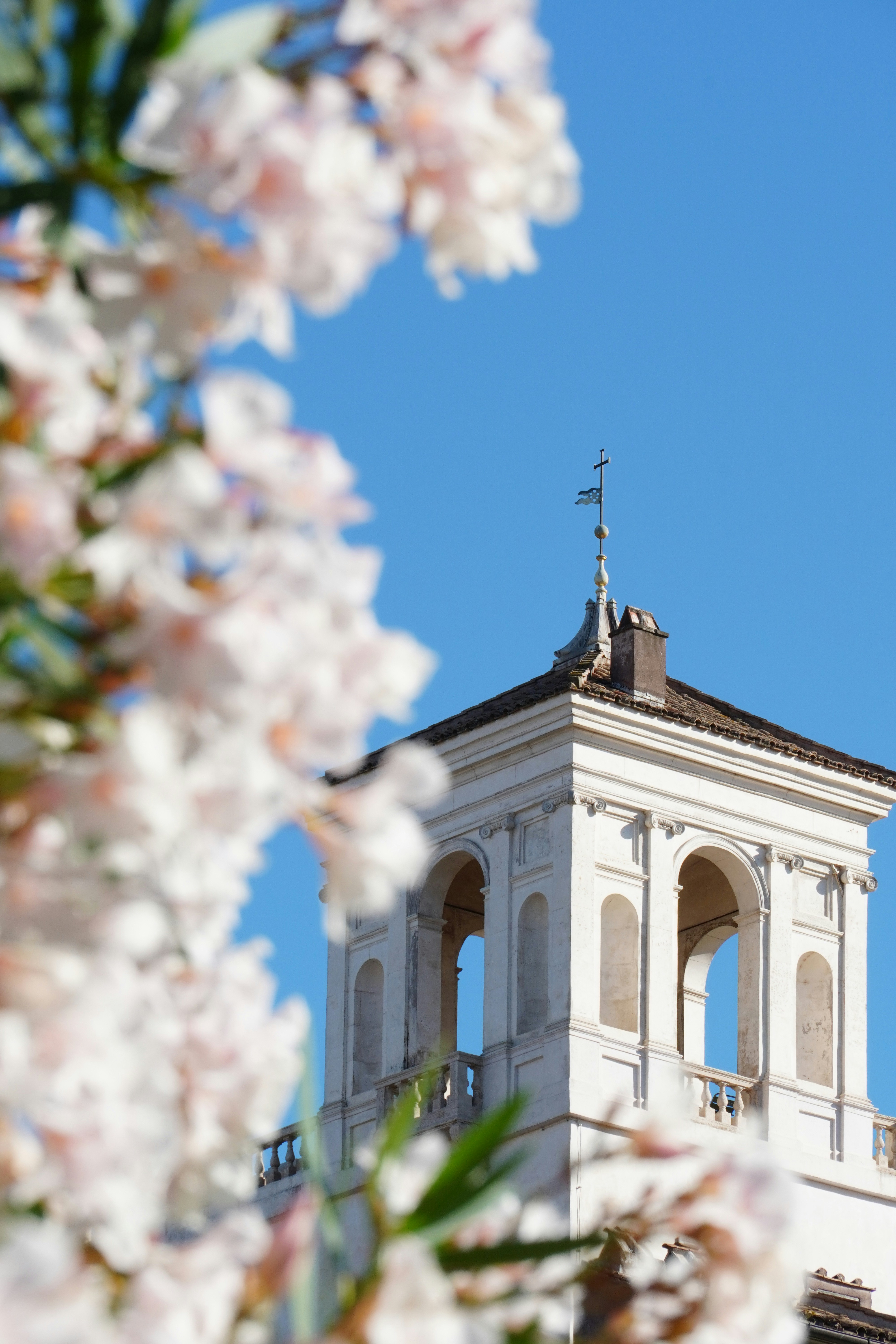 Photo by greenliustudio