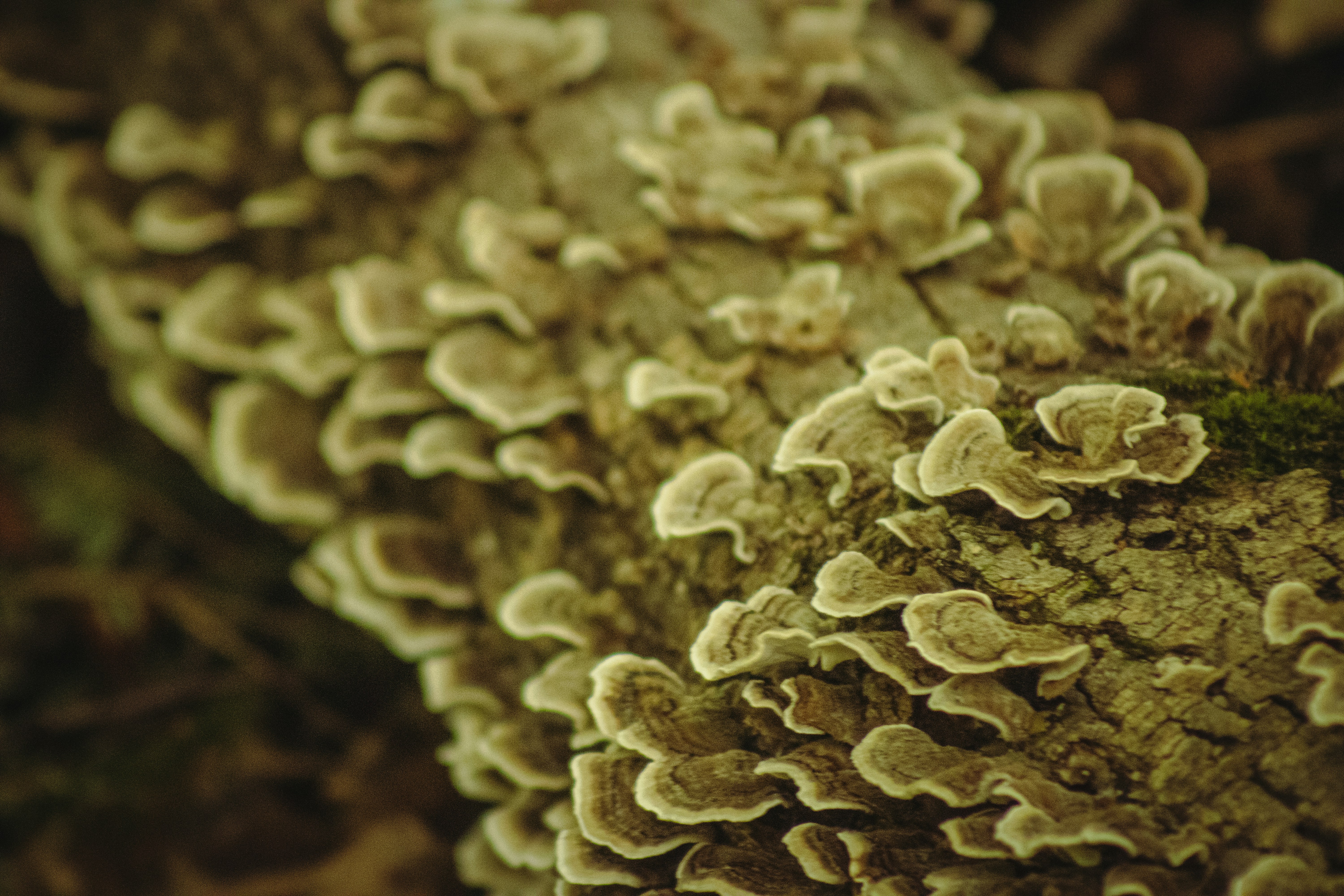 Photo by richiemortis