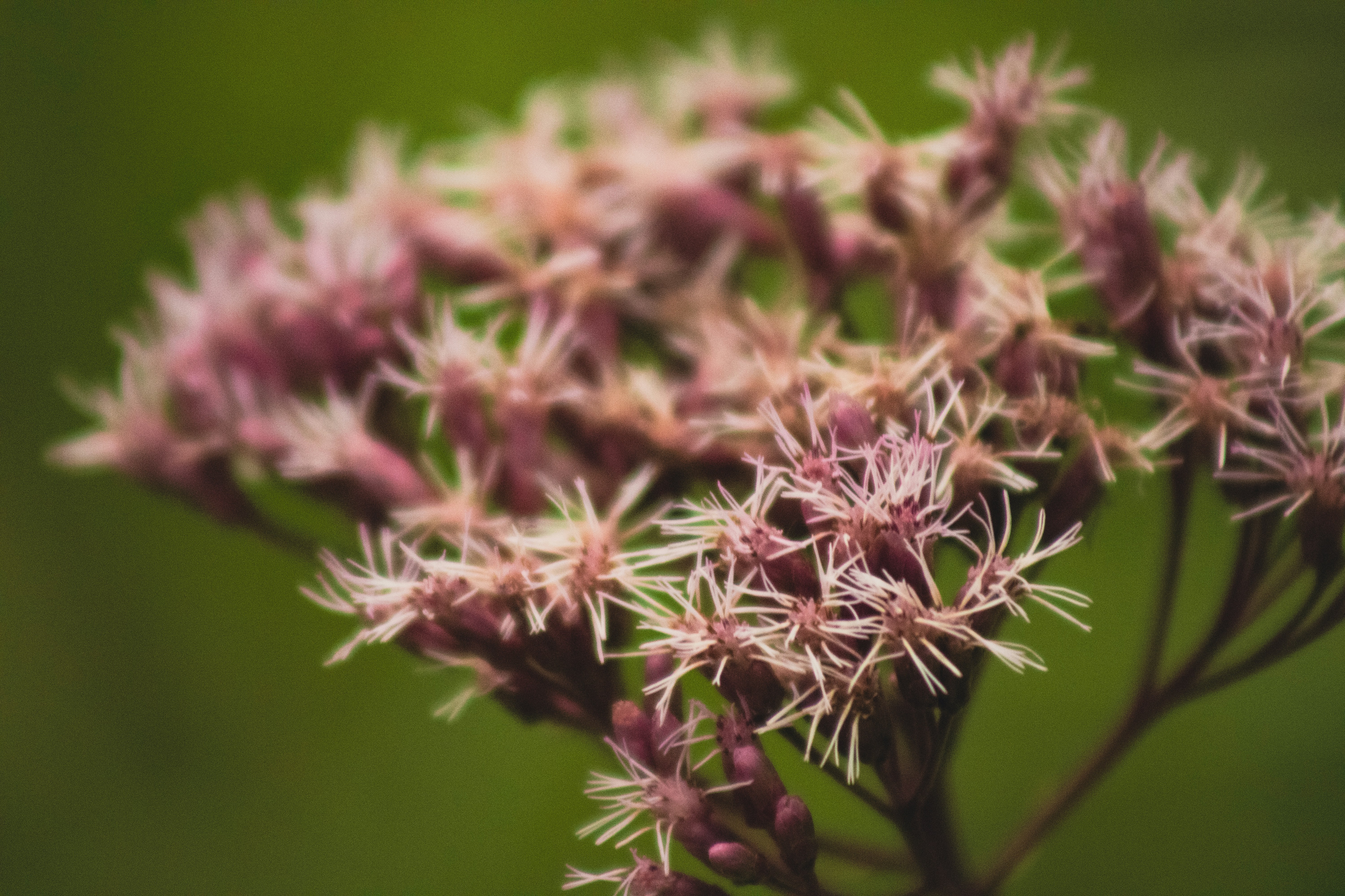 Photo by richiemortis