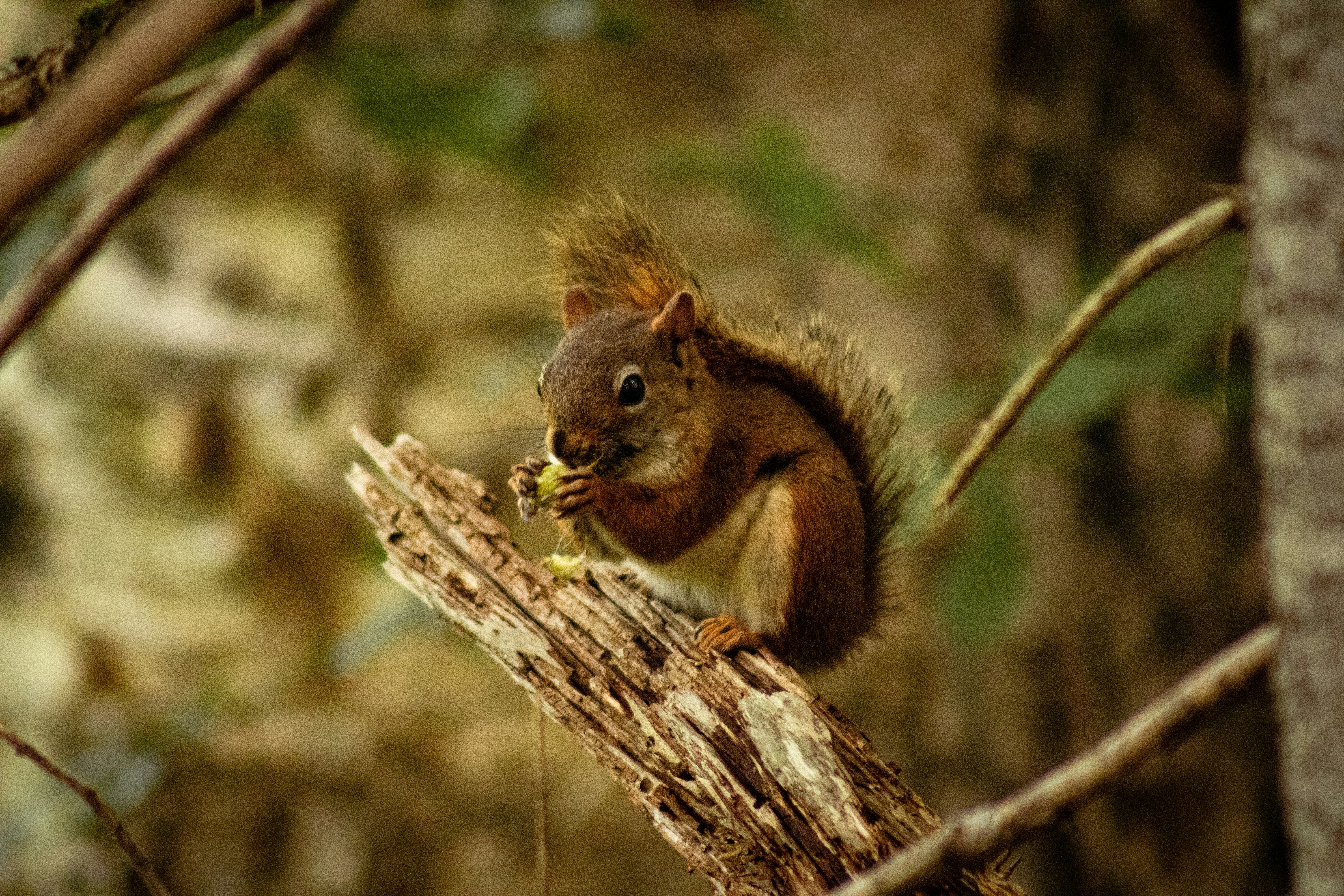 Photo by richiemortis