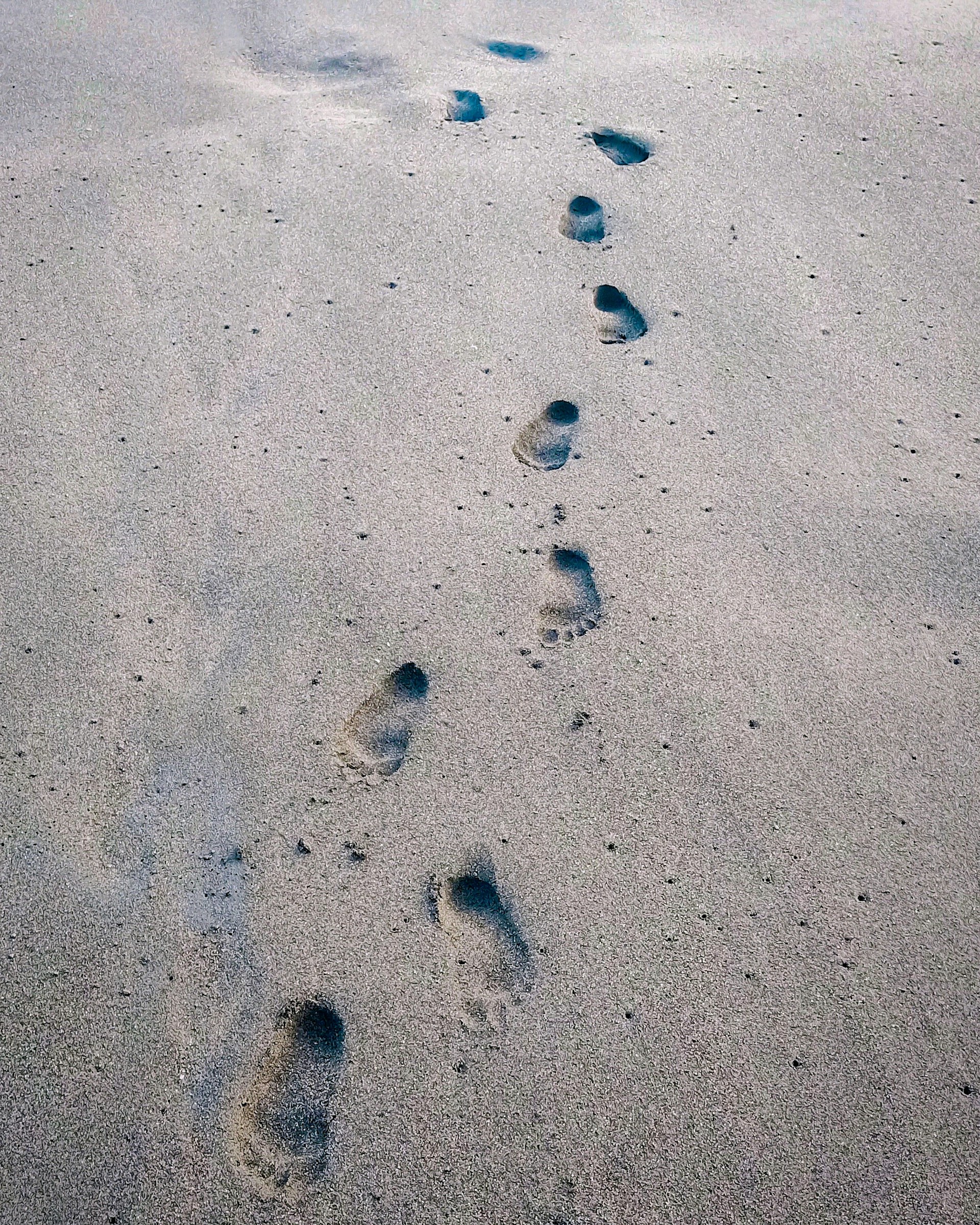 A couple of footprints that are in the sand