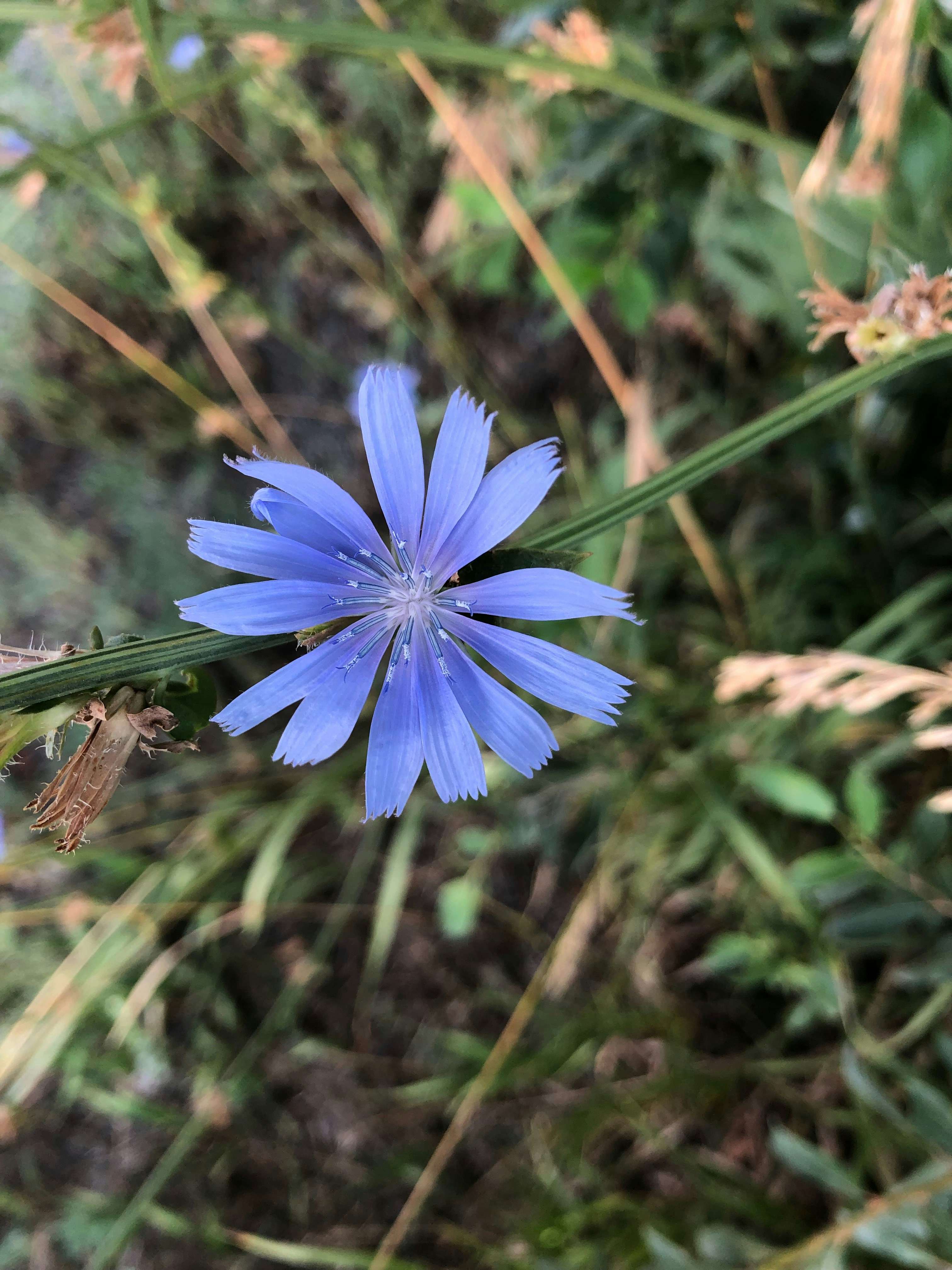 Photo by liberatetheimage