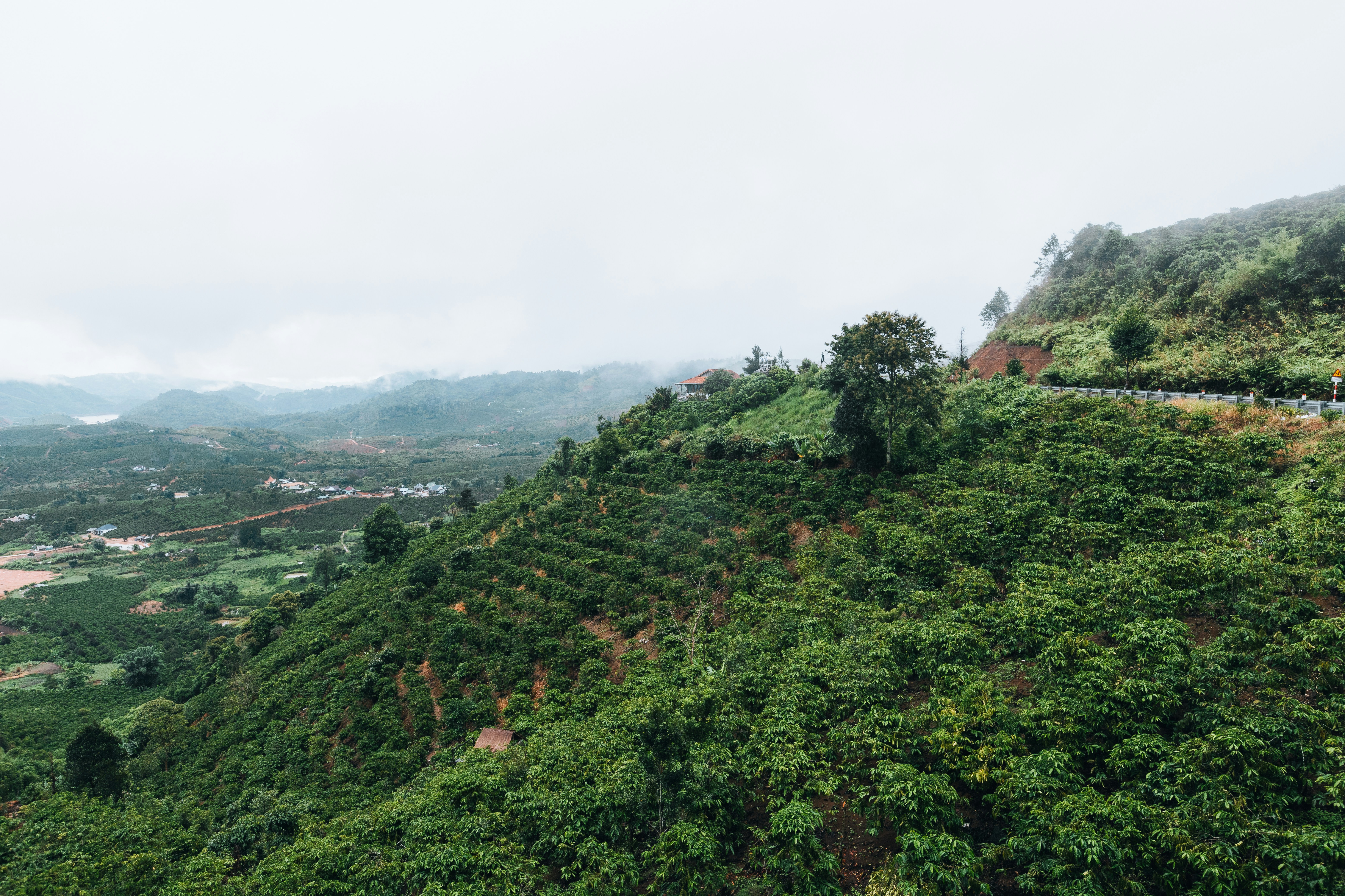 Photo by chuchu123456