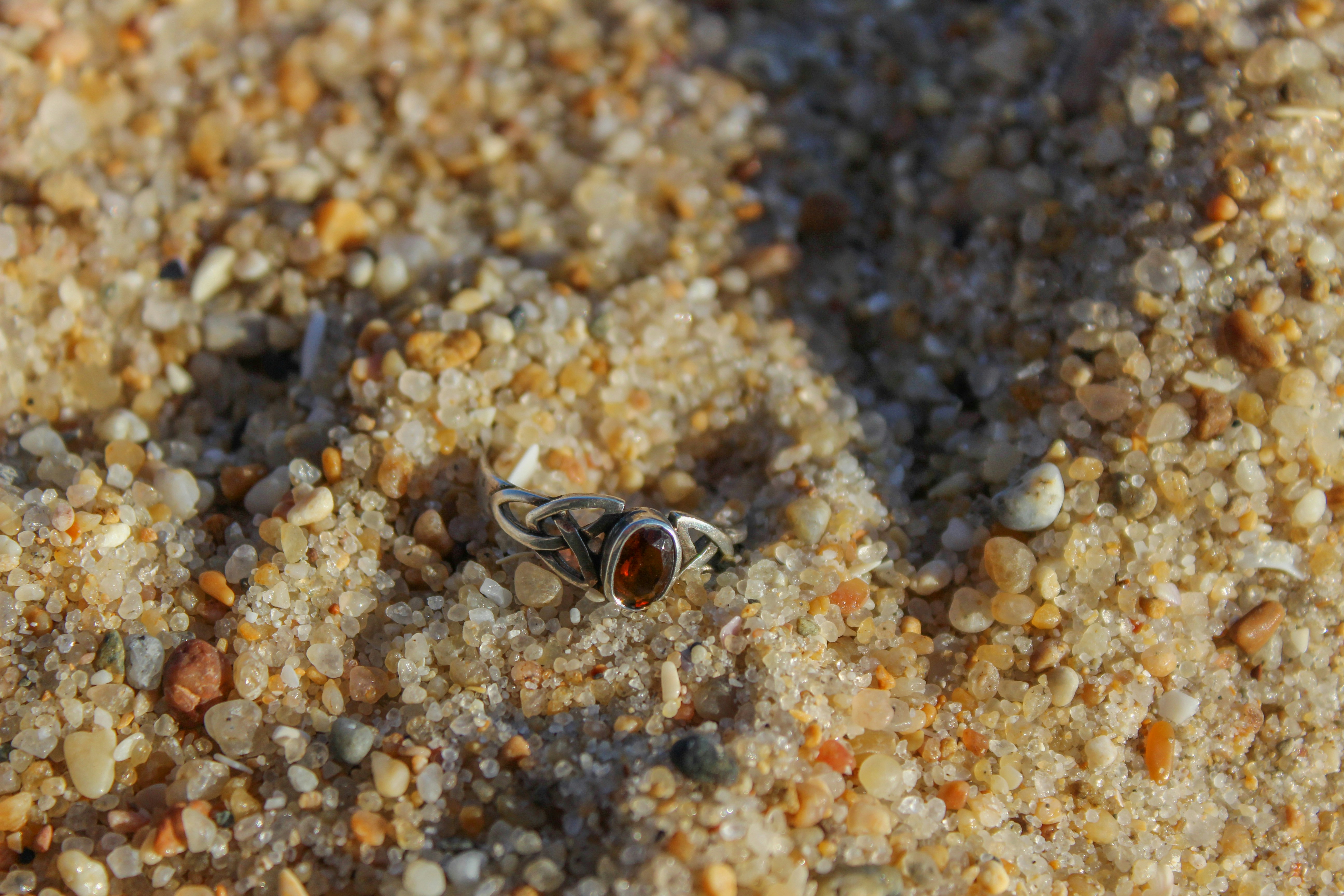 A small insect on a sandy surface in the sand