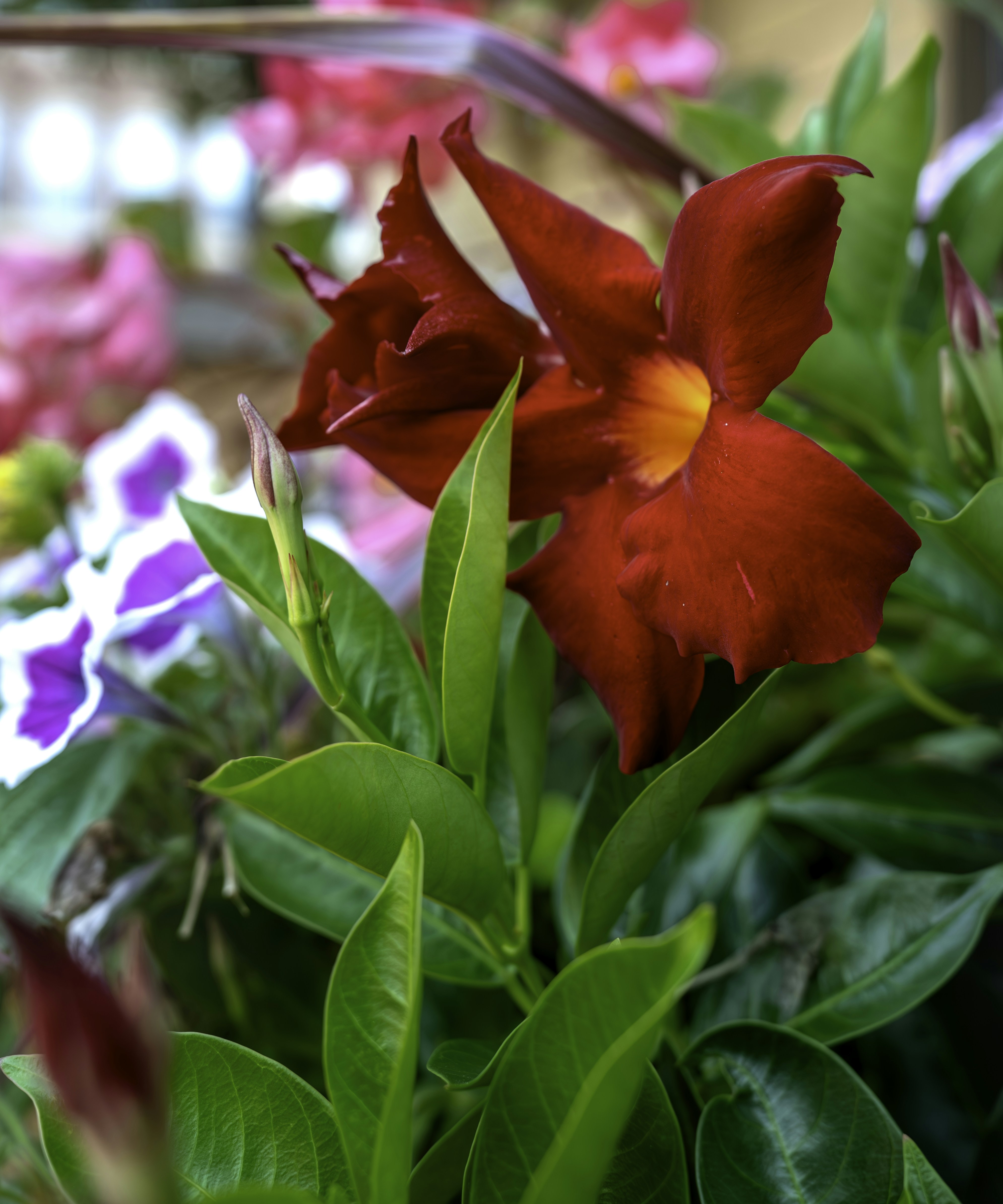 Photo by arcanephoto