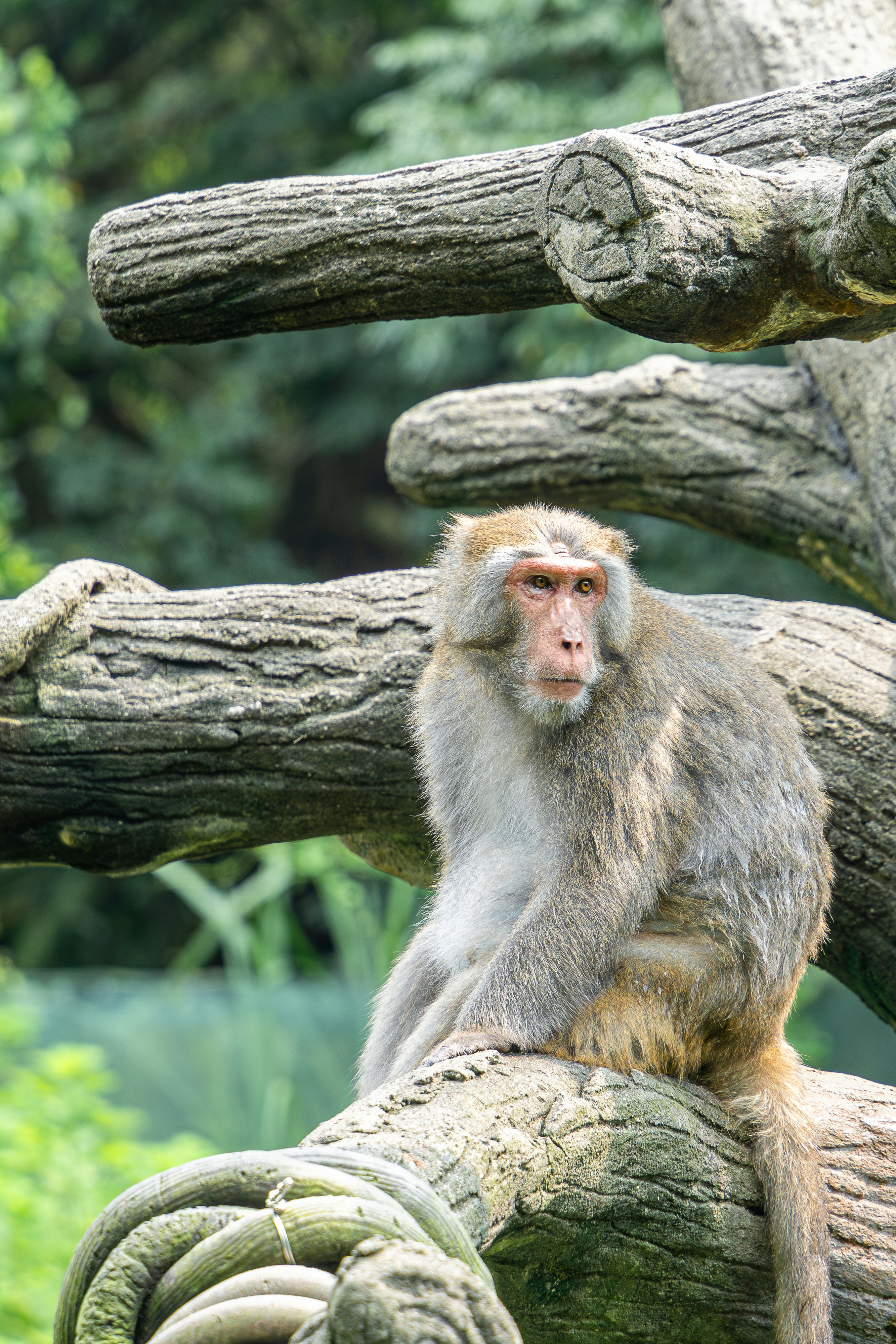 Photo by winstonchen