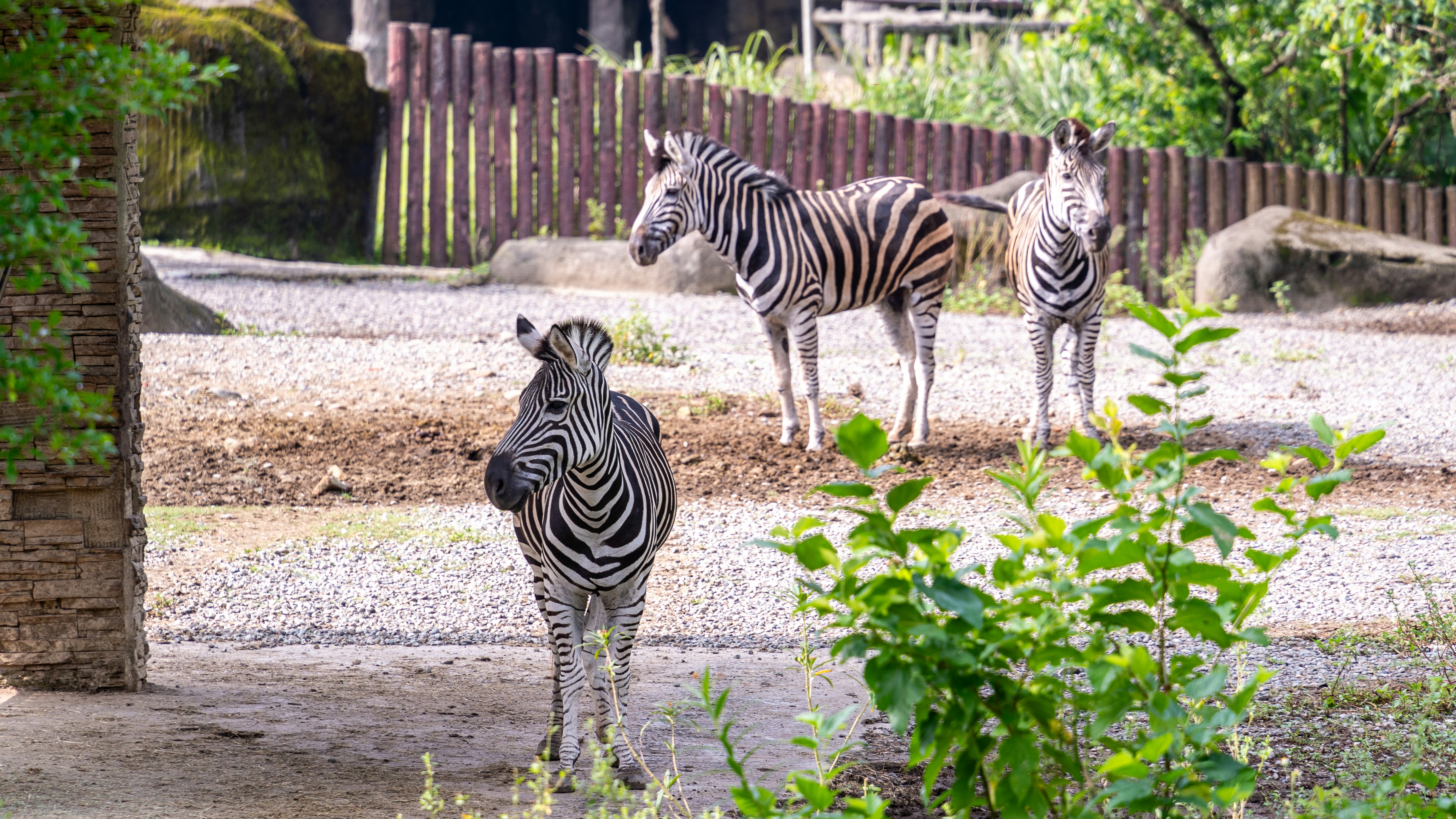 Photo by winstonchen