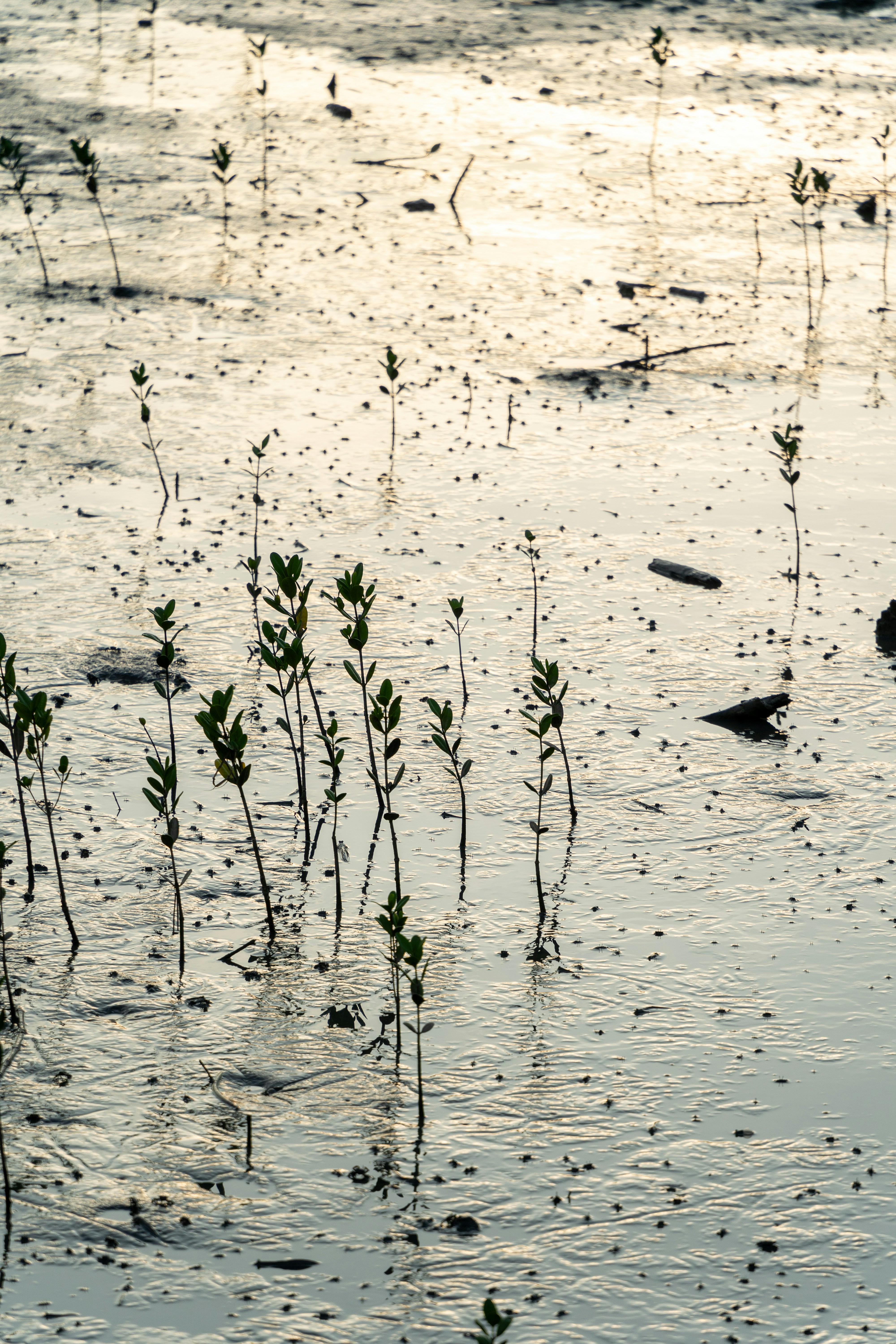 Photo by winstonchen