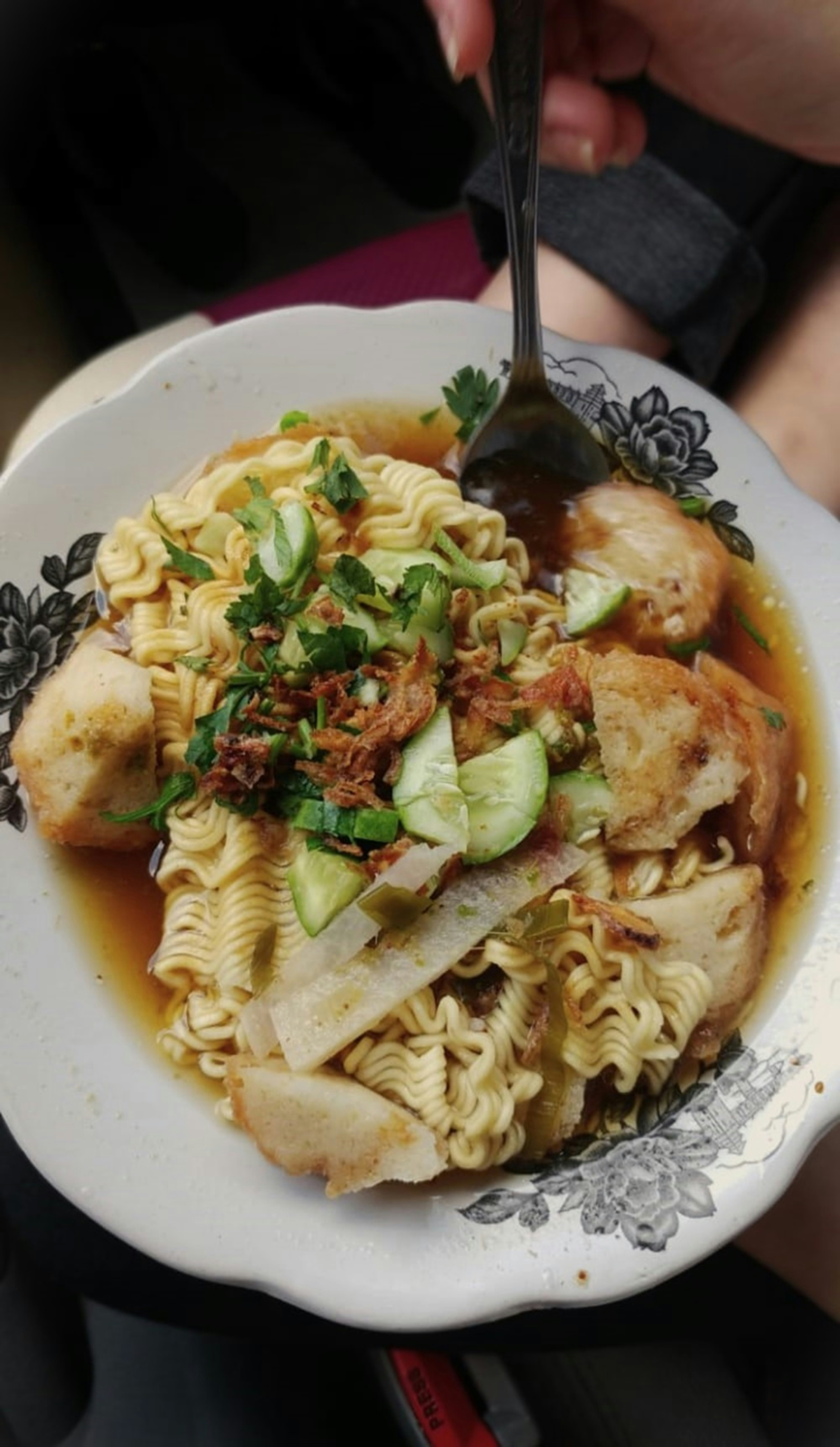 A person holding a plate of pasta with meat and vegetables