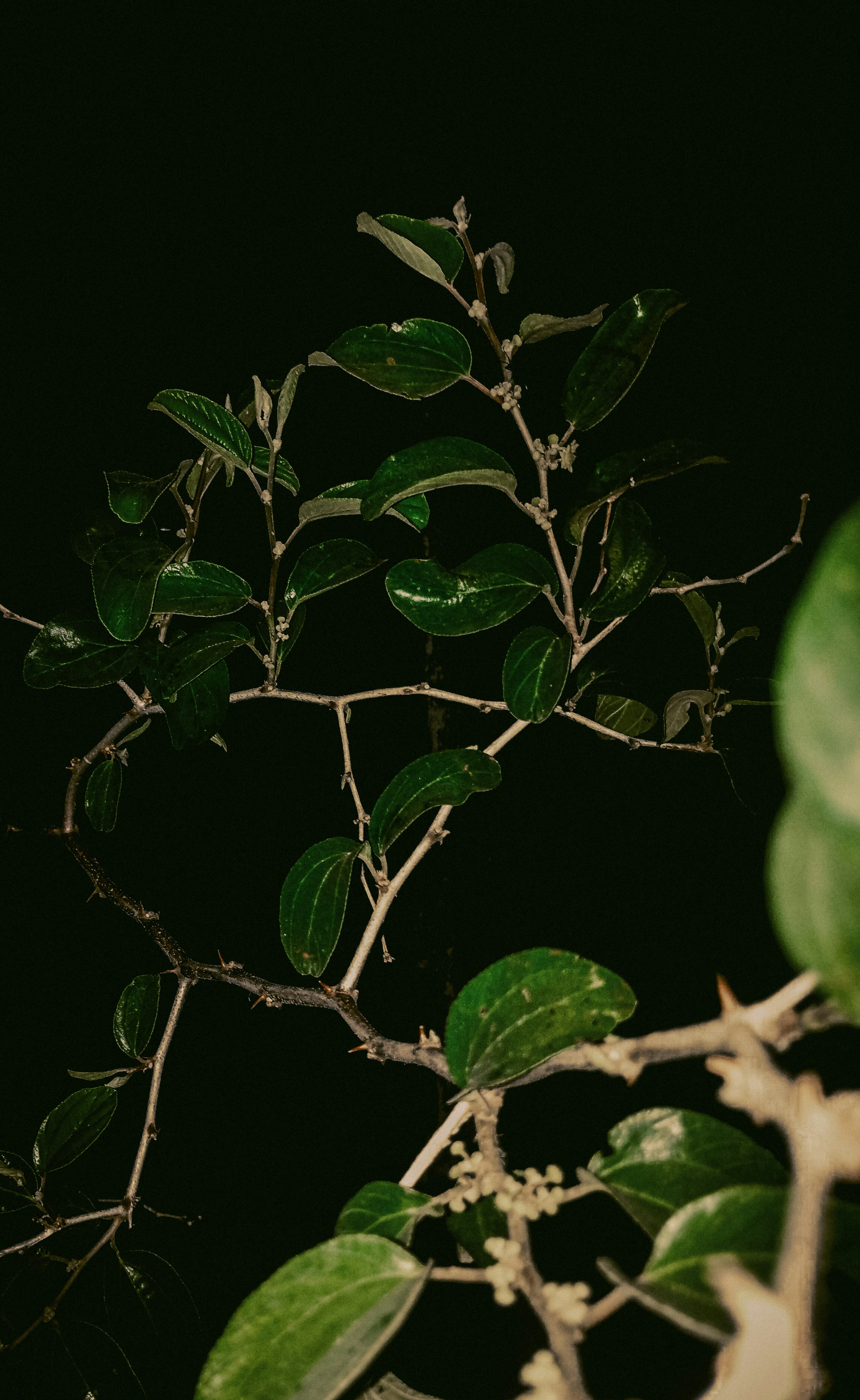 Photo by creative_af