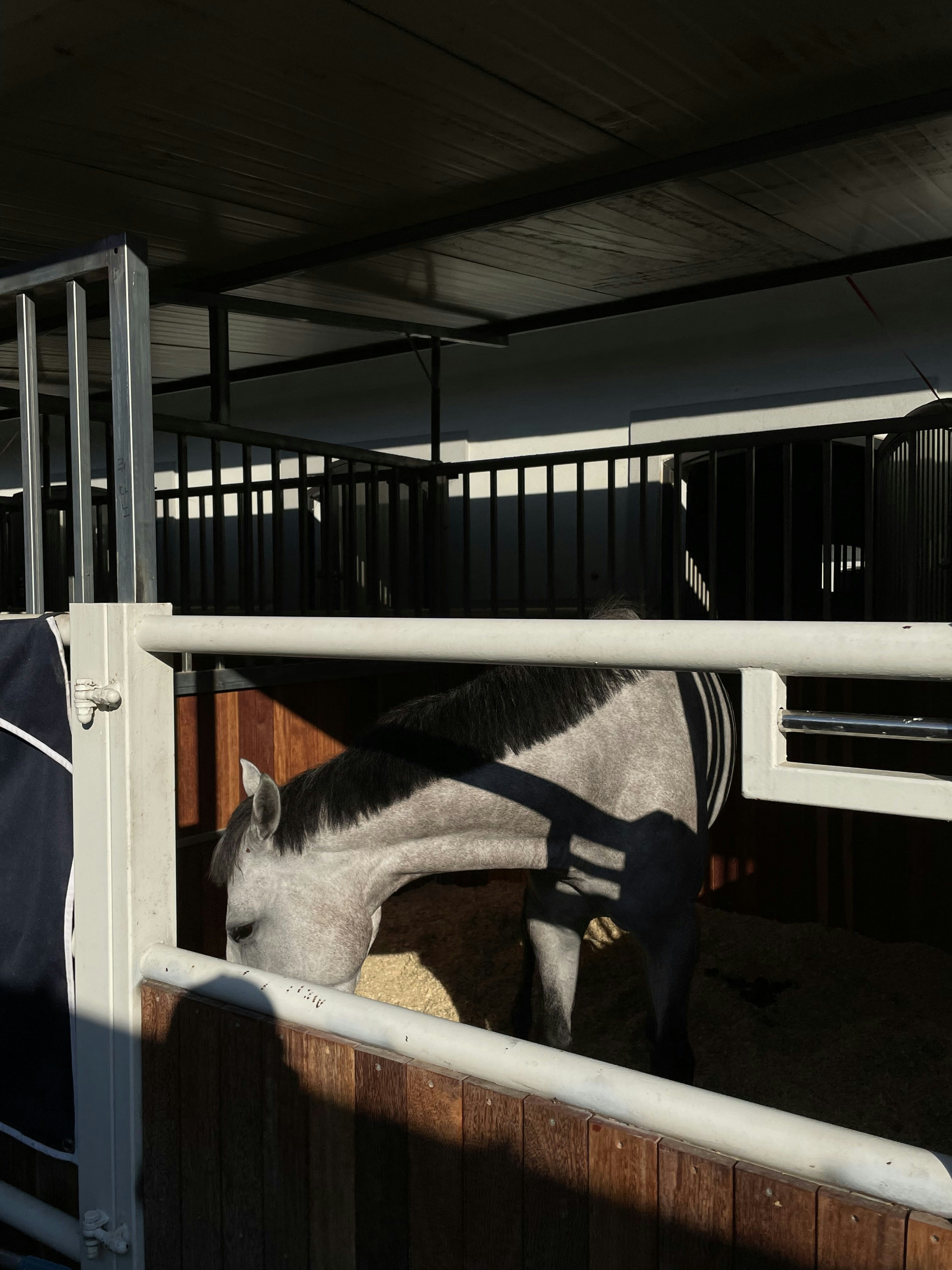 A horse in a stable with a blanket over it's head