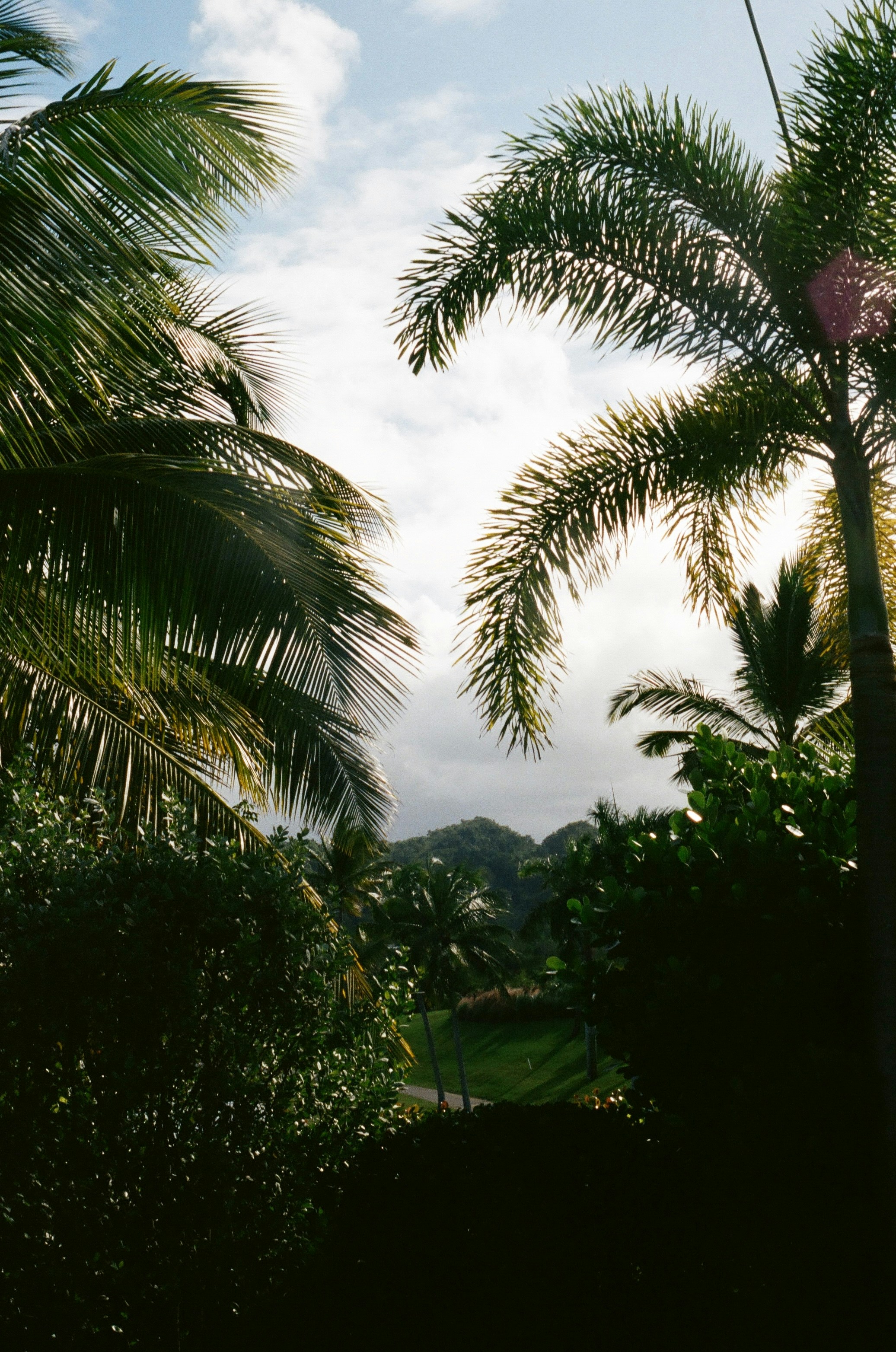 Photo by zoeeefitzgerald