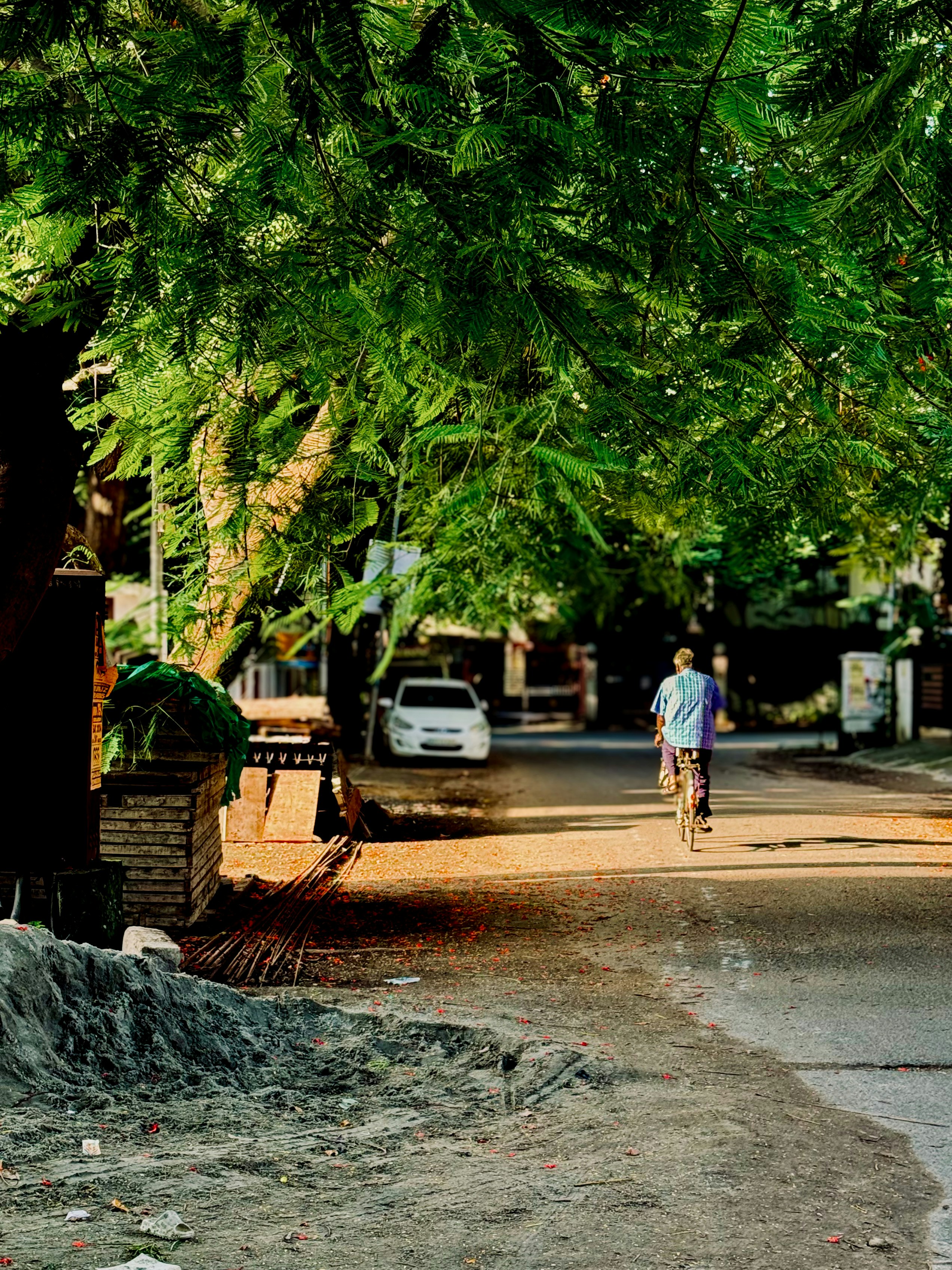 Photo by arvindmahesh