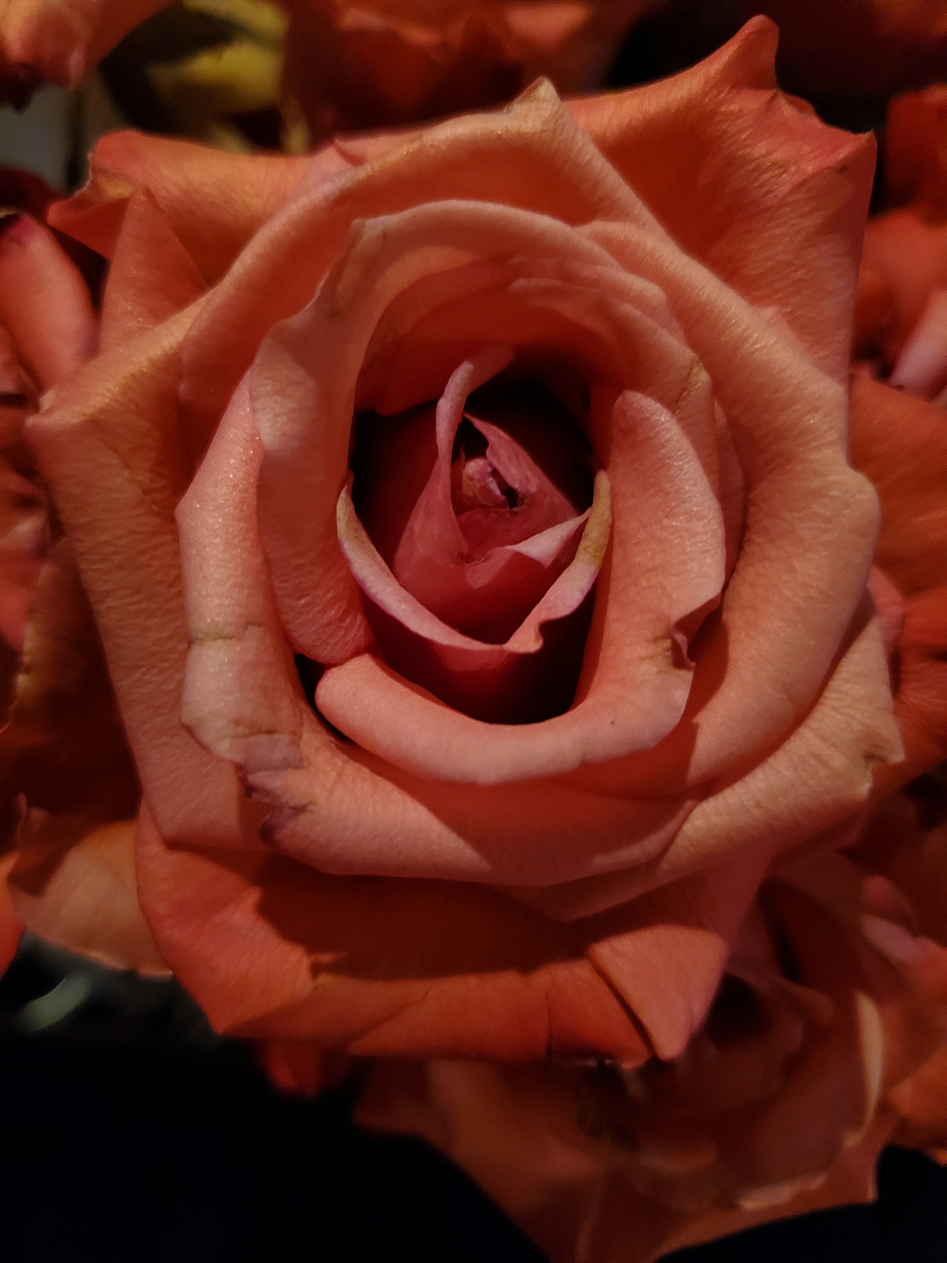 Photo by heathergeiger