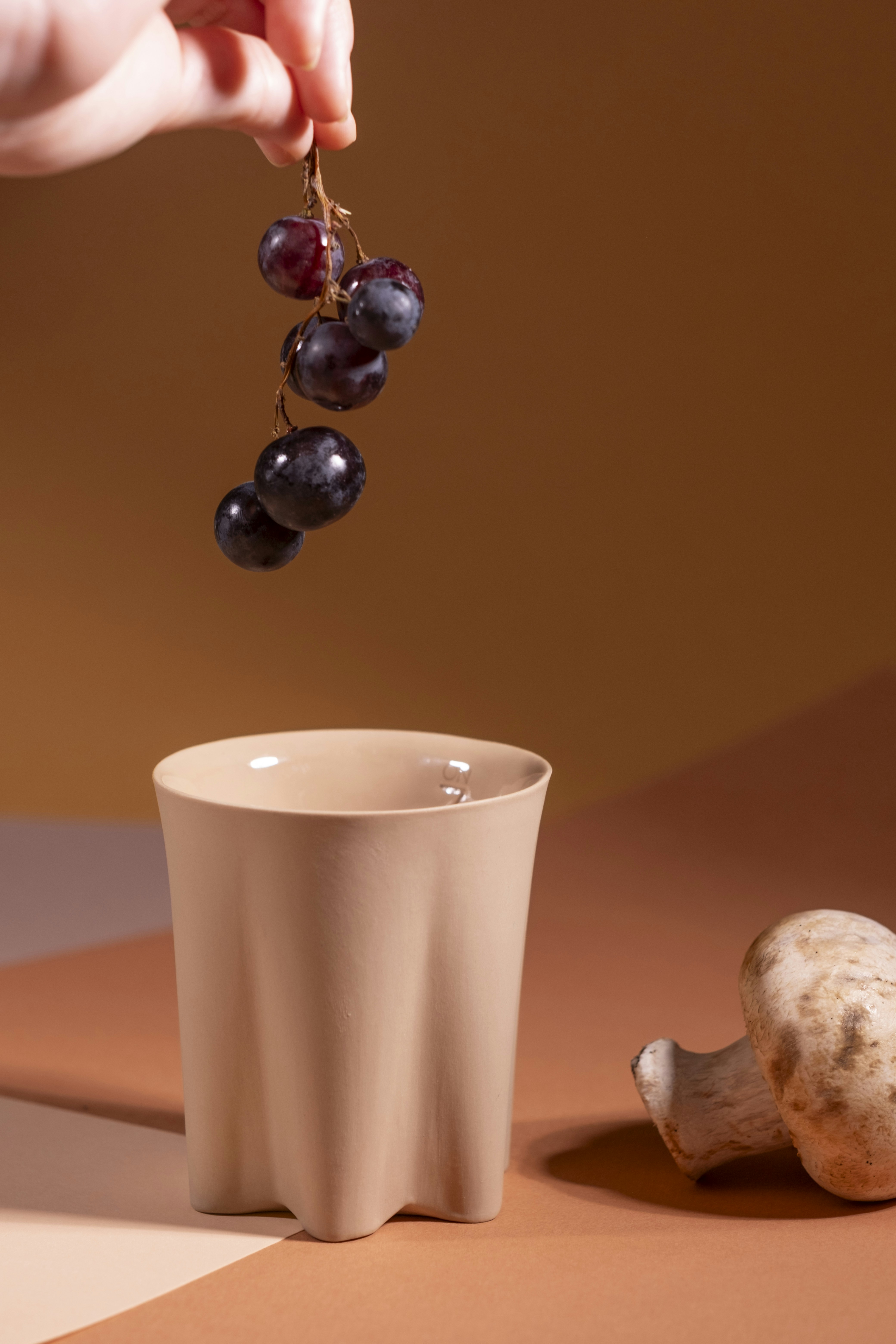 Café con Ganoderma