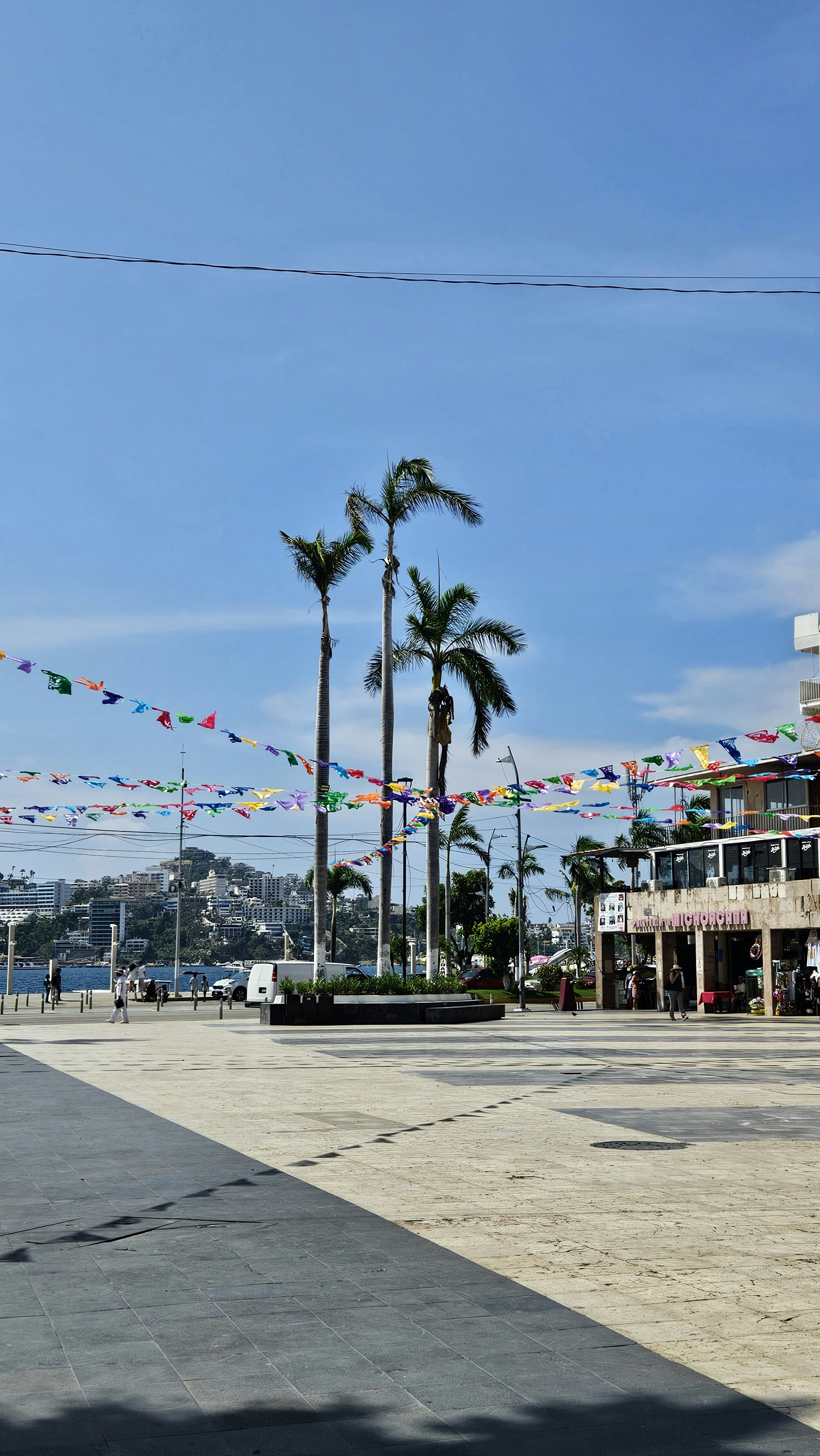 A view of a city street with palm trees