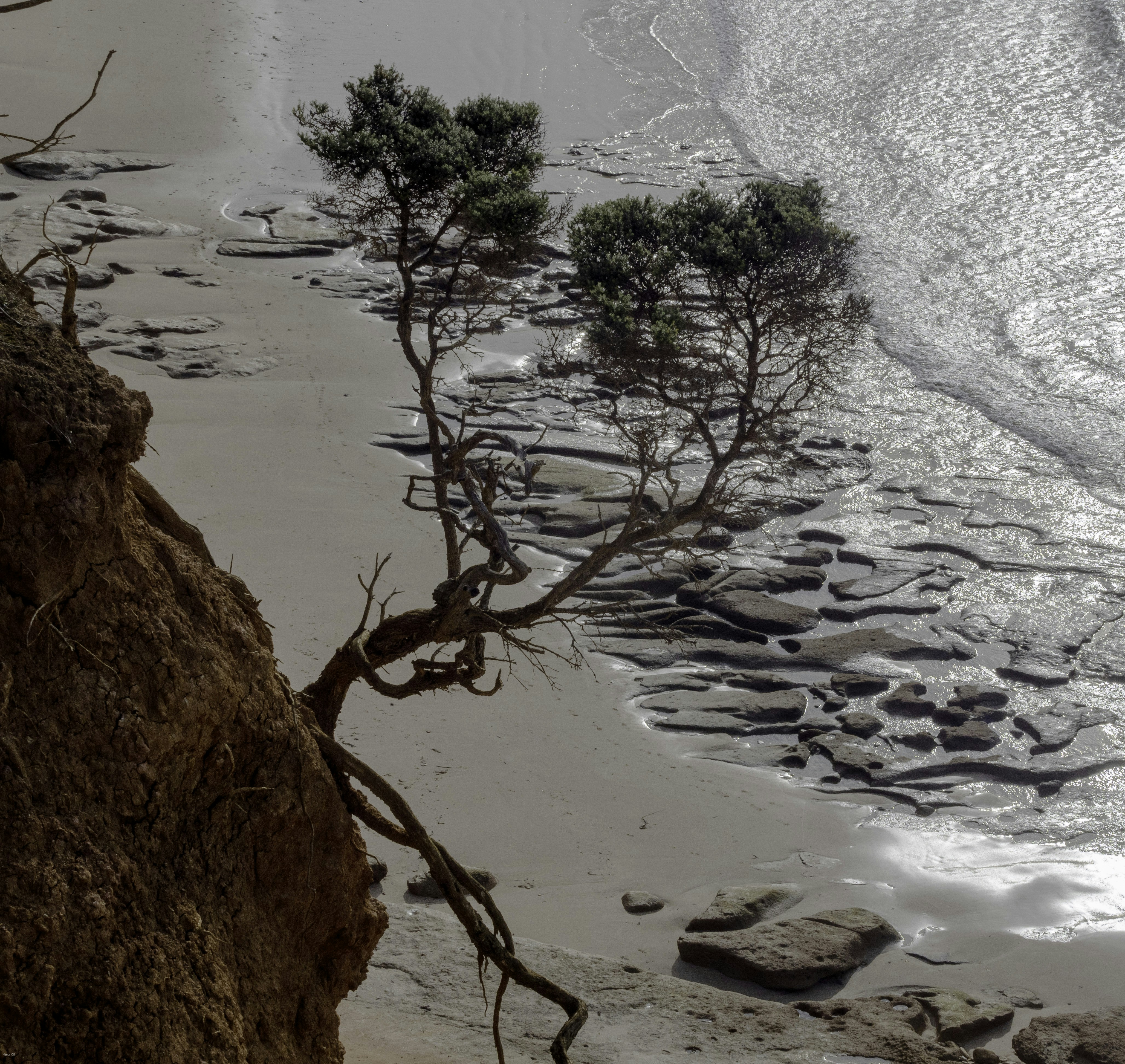 Ein Blick auf das Meer von einer Klippe