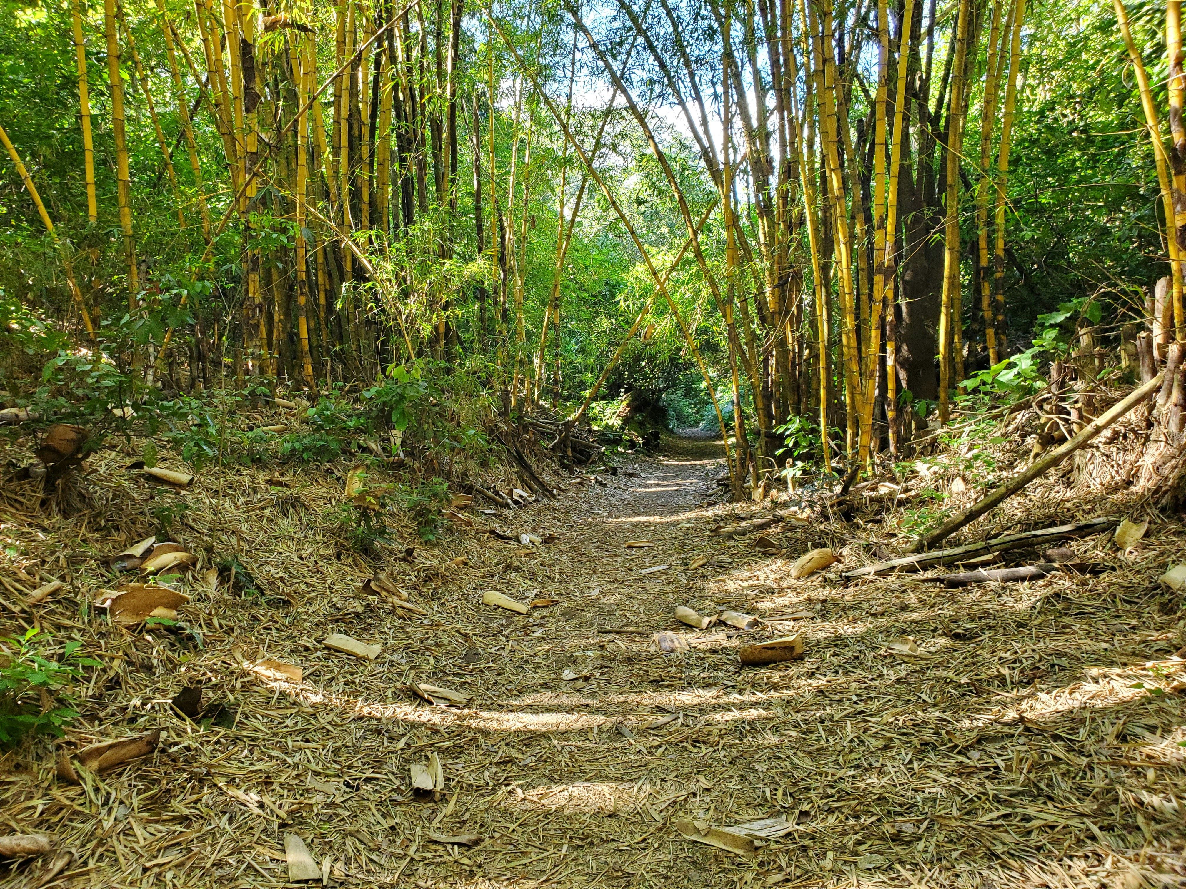 Photo by stevenfloresfl