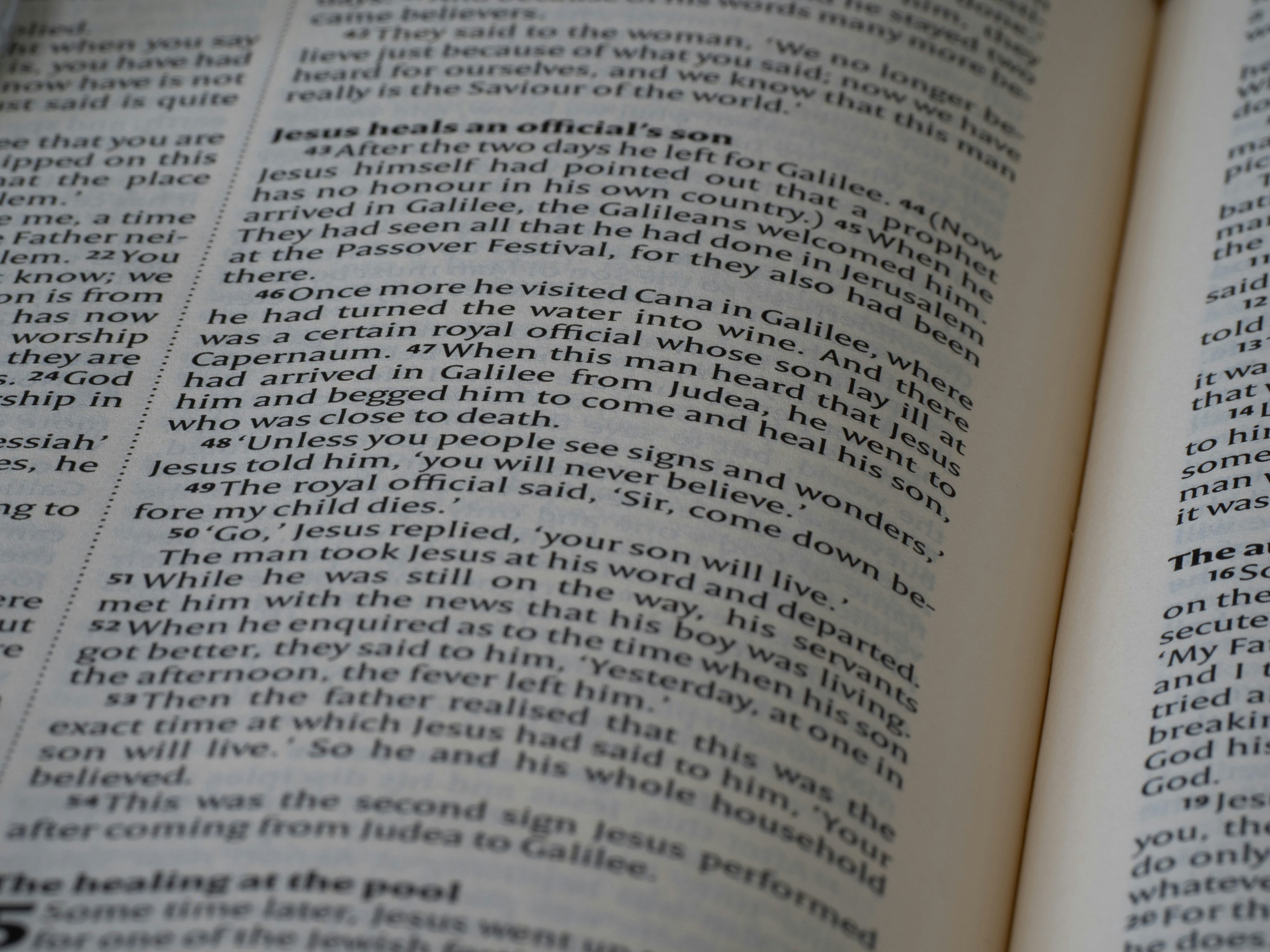 Photo by brett_jordan