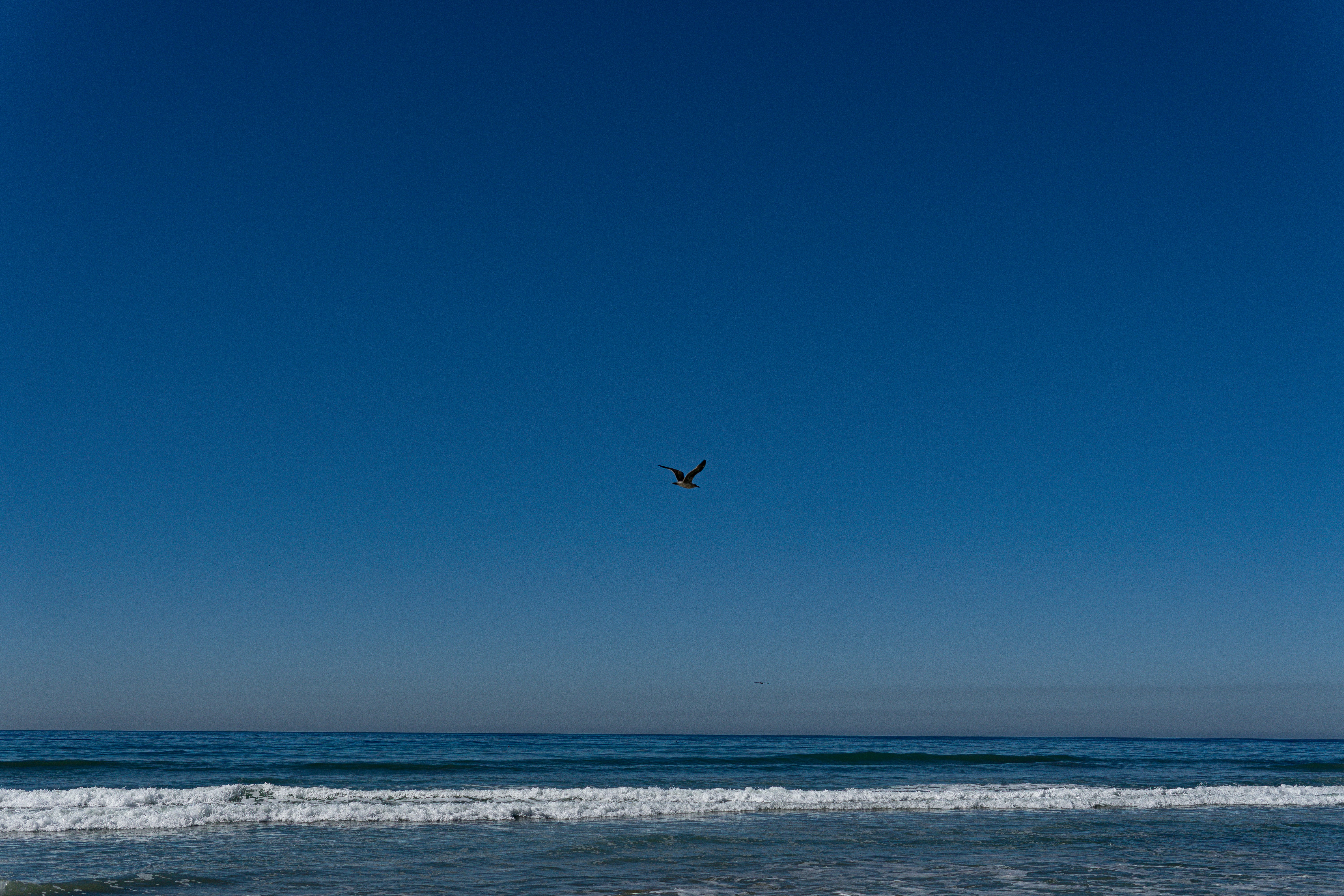 Photo by suyashmahar