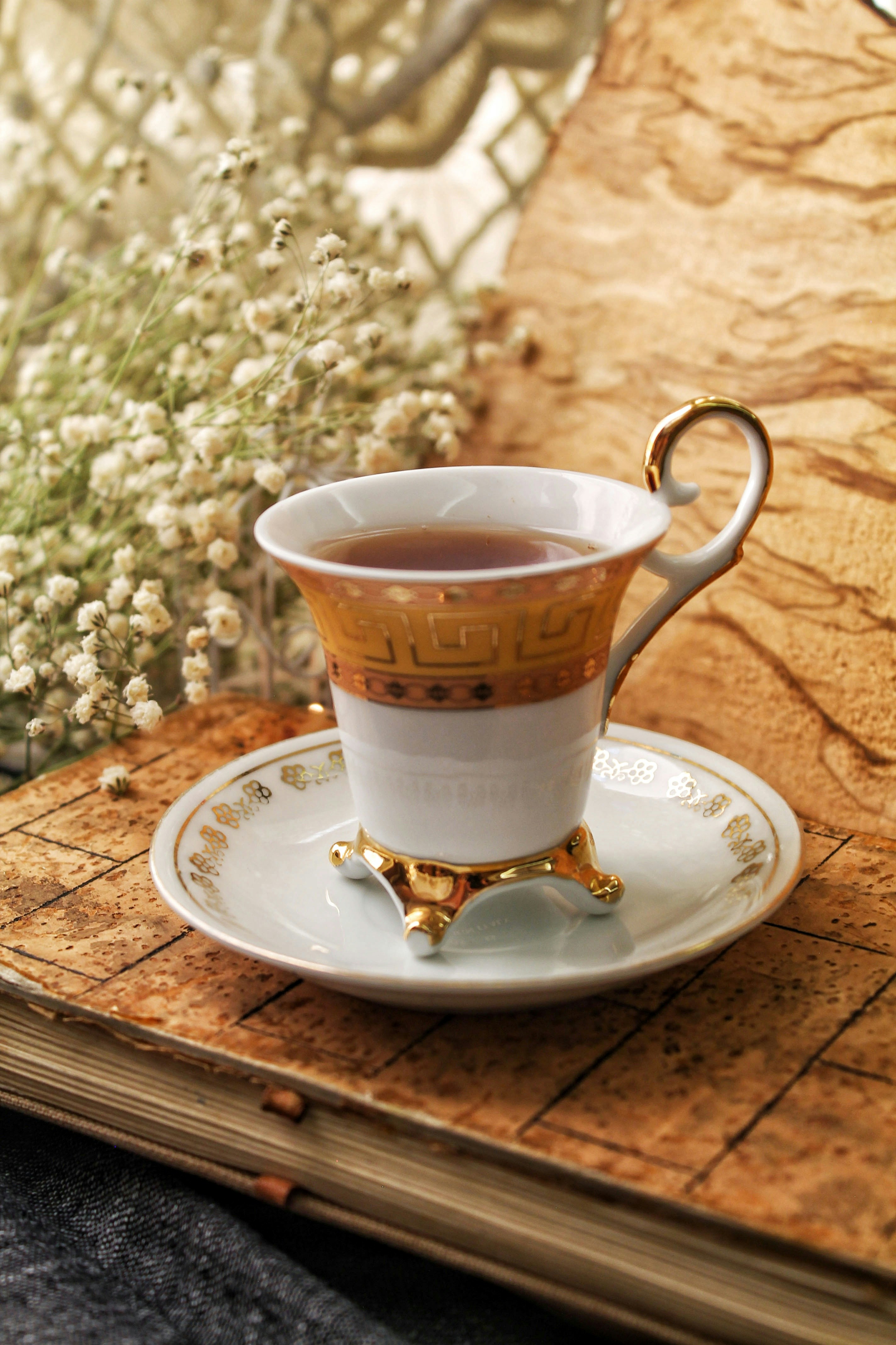 Photo by saharkhosrogorji