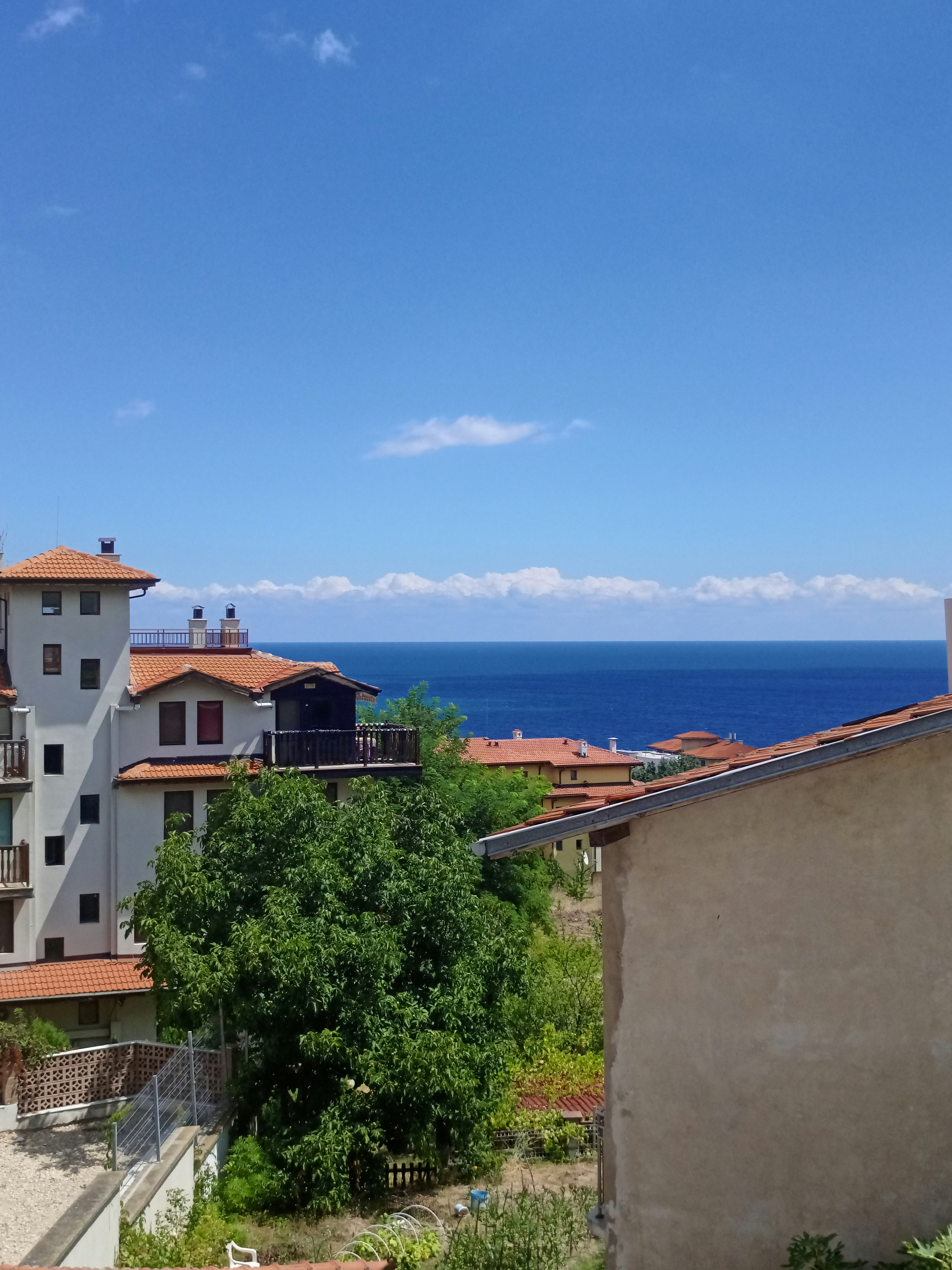 Photo by fa_nimation